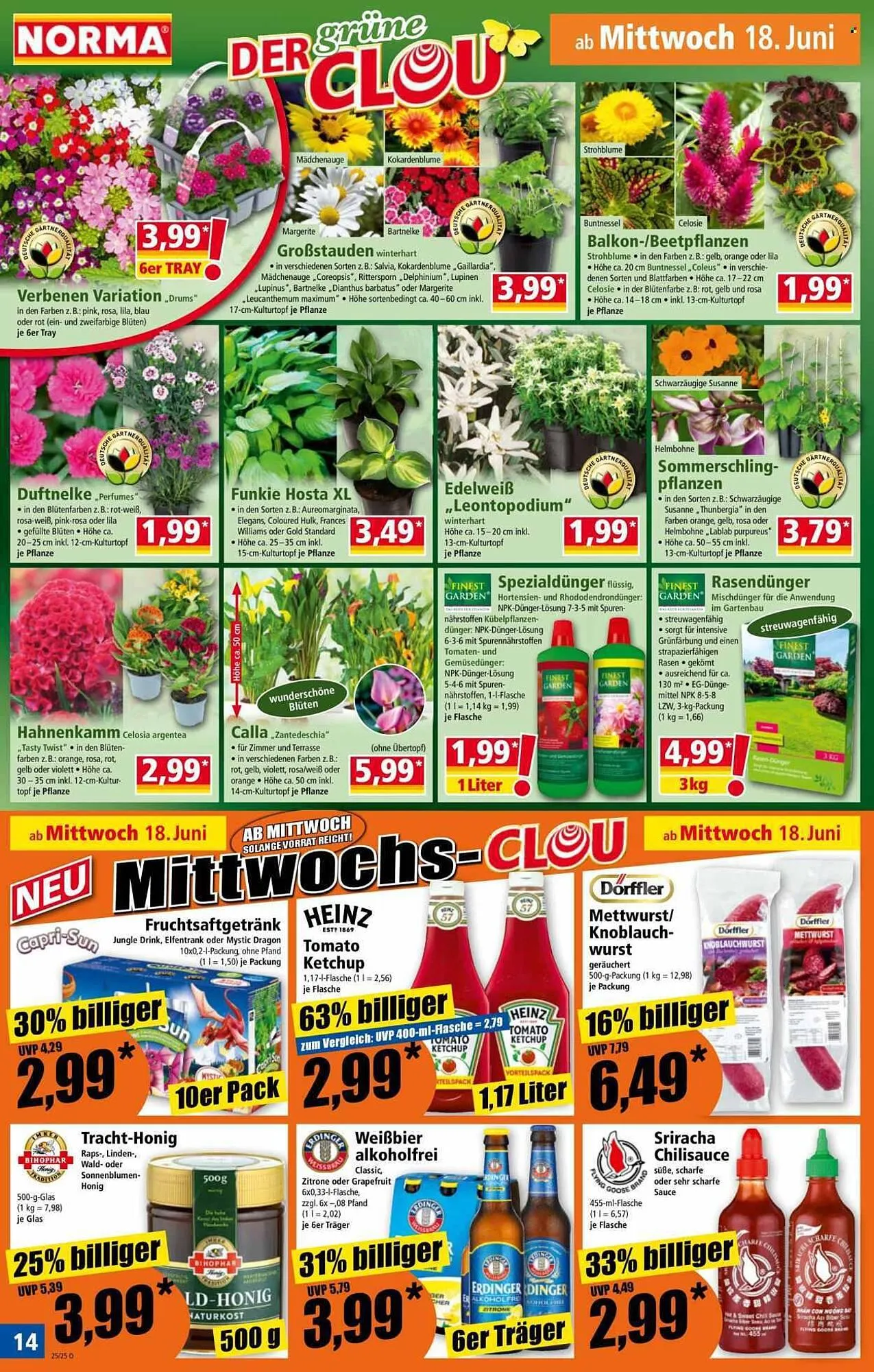 Norma Prospekt von 16. Juni bis 22. Juni 2025 - Prospekt seite 15