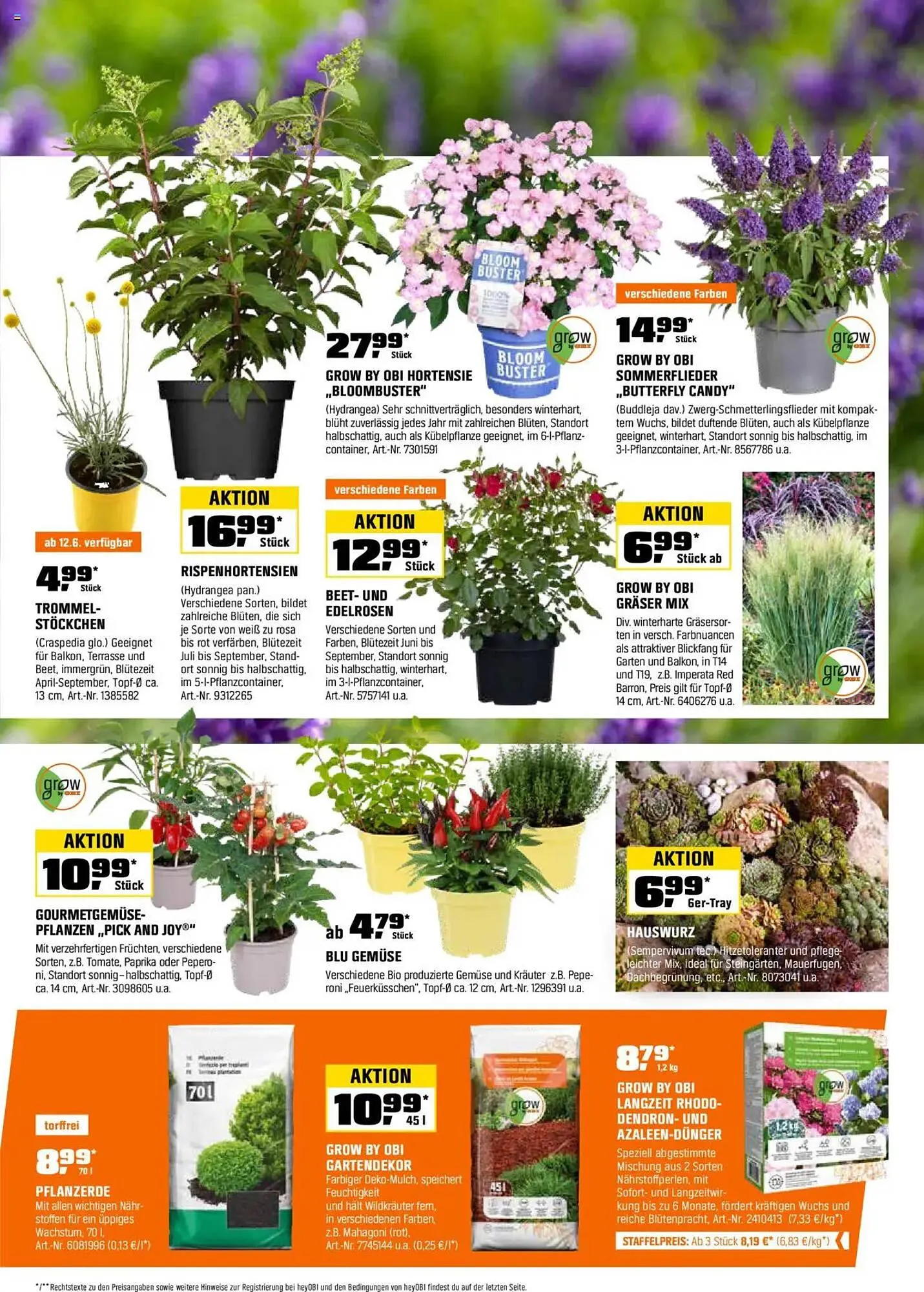 OBI Prospekt von 16. Juni bis 30. Juni 2025 - Prospekt seite 17