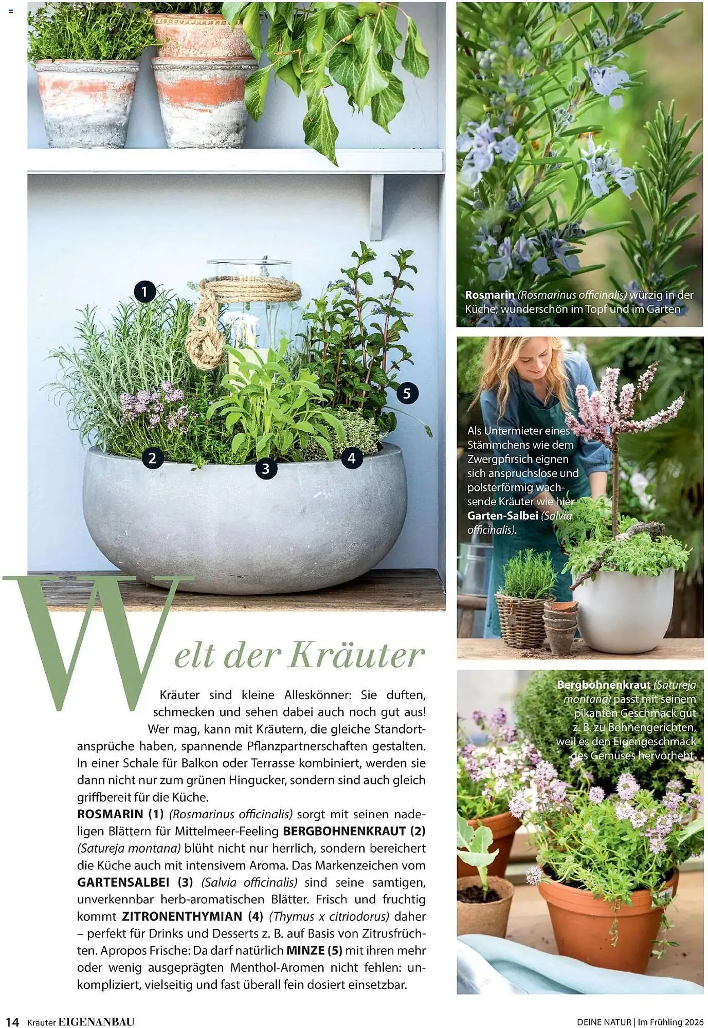 Dehner Prospekt von 4. März bis 31. Mai 2026 - Prospekt seite 14