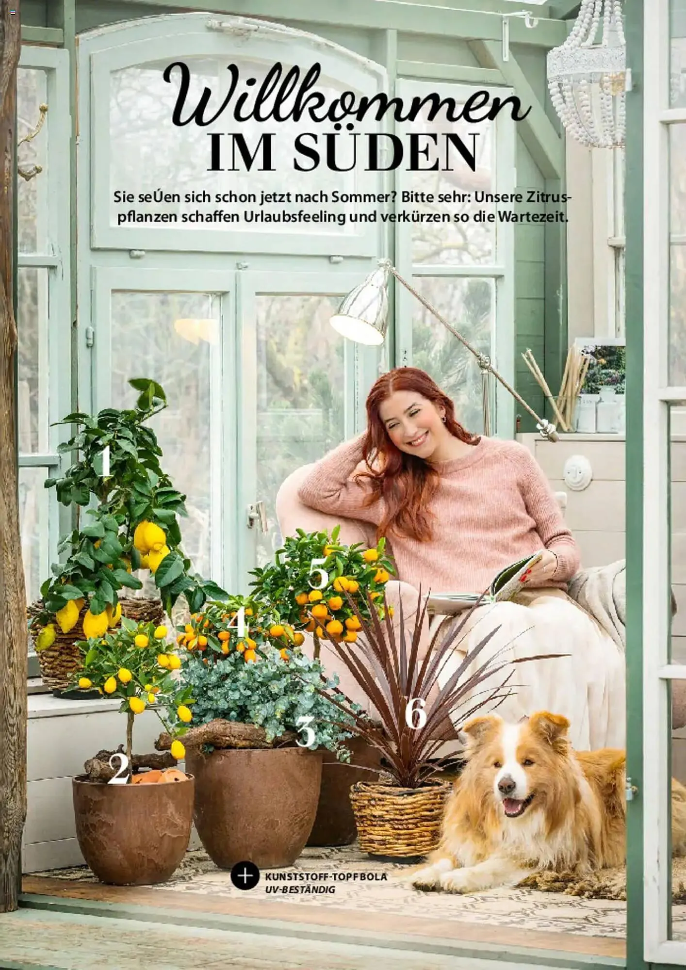 Dehner Prospekt von 6. März bis 9. Juni 2025 - Prospekt seite 30