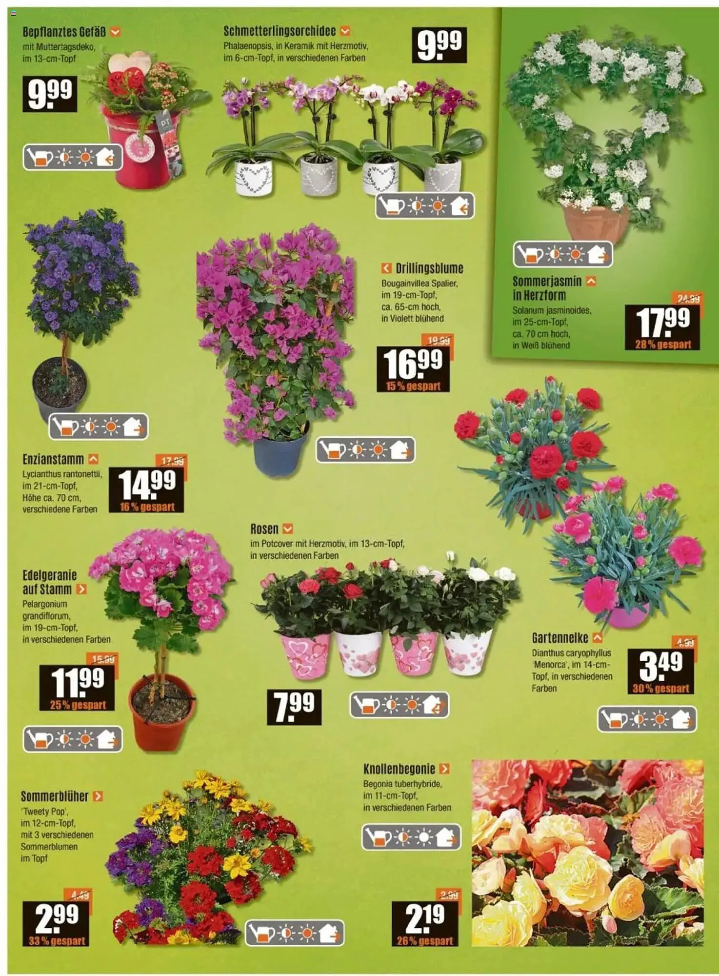 V Baumarkt Prospekt von 8. Mai bis 14. Mai 2025 - Prospekt seite 2