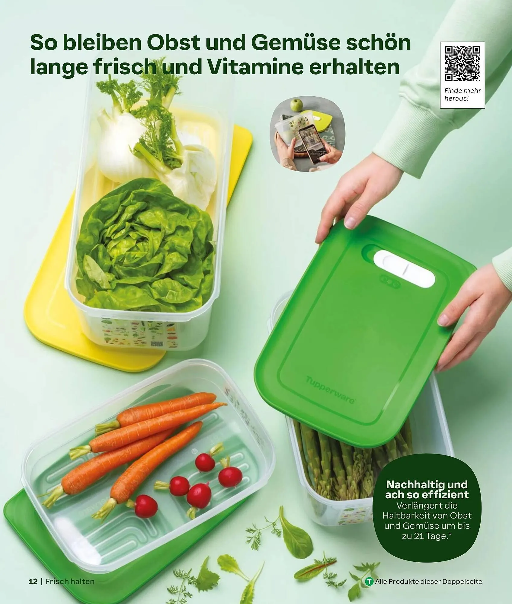 Tupperware Prospekt von 2. September bis 1. März 2025 - Prospekt seite 12