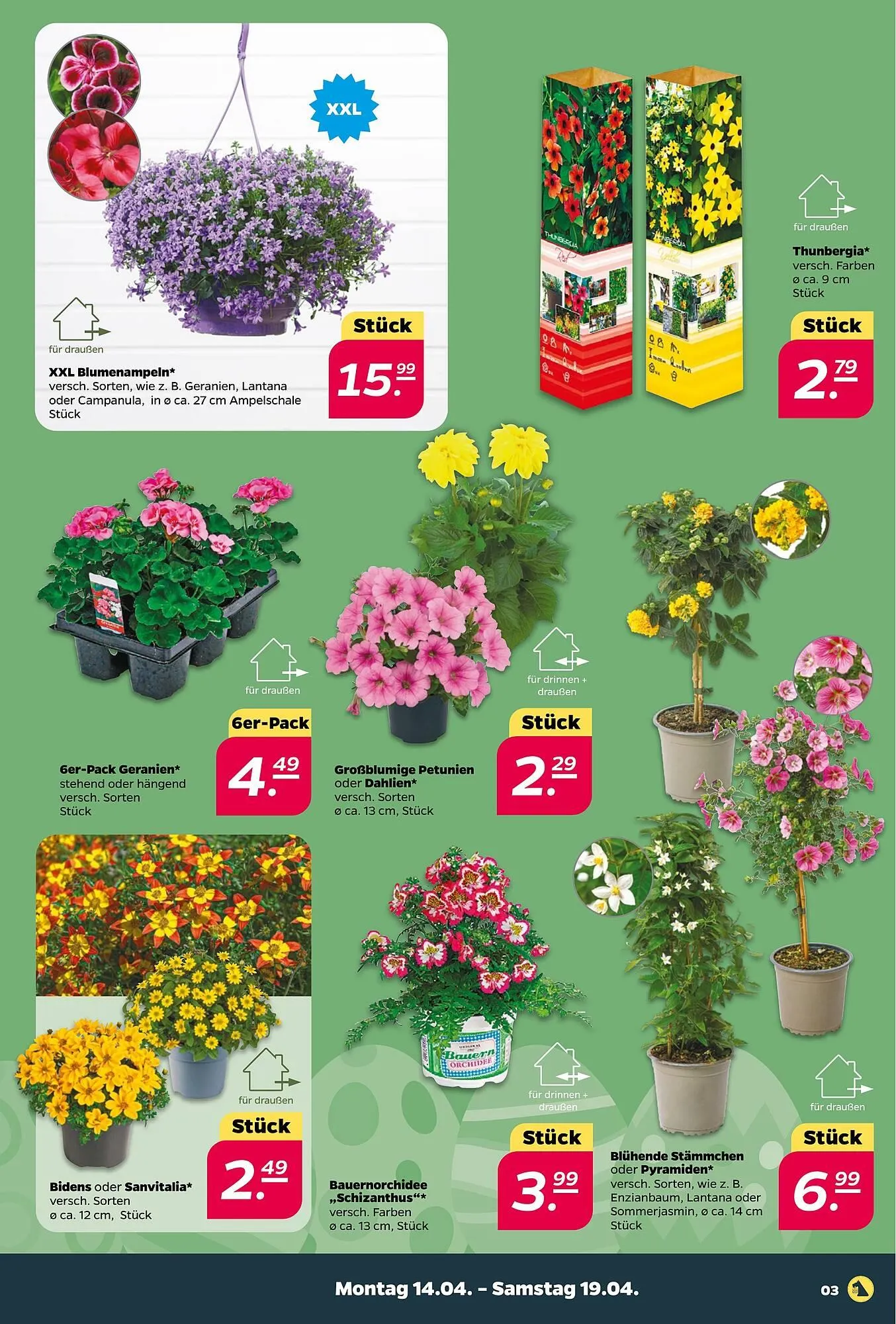 NETTO Prospekt von 14. April bis 19. April 2025 - Prospekt seite 3