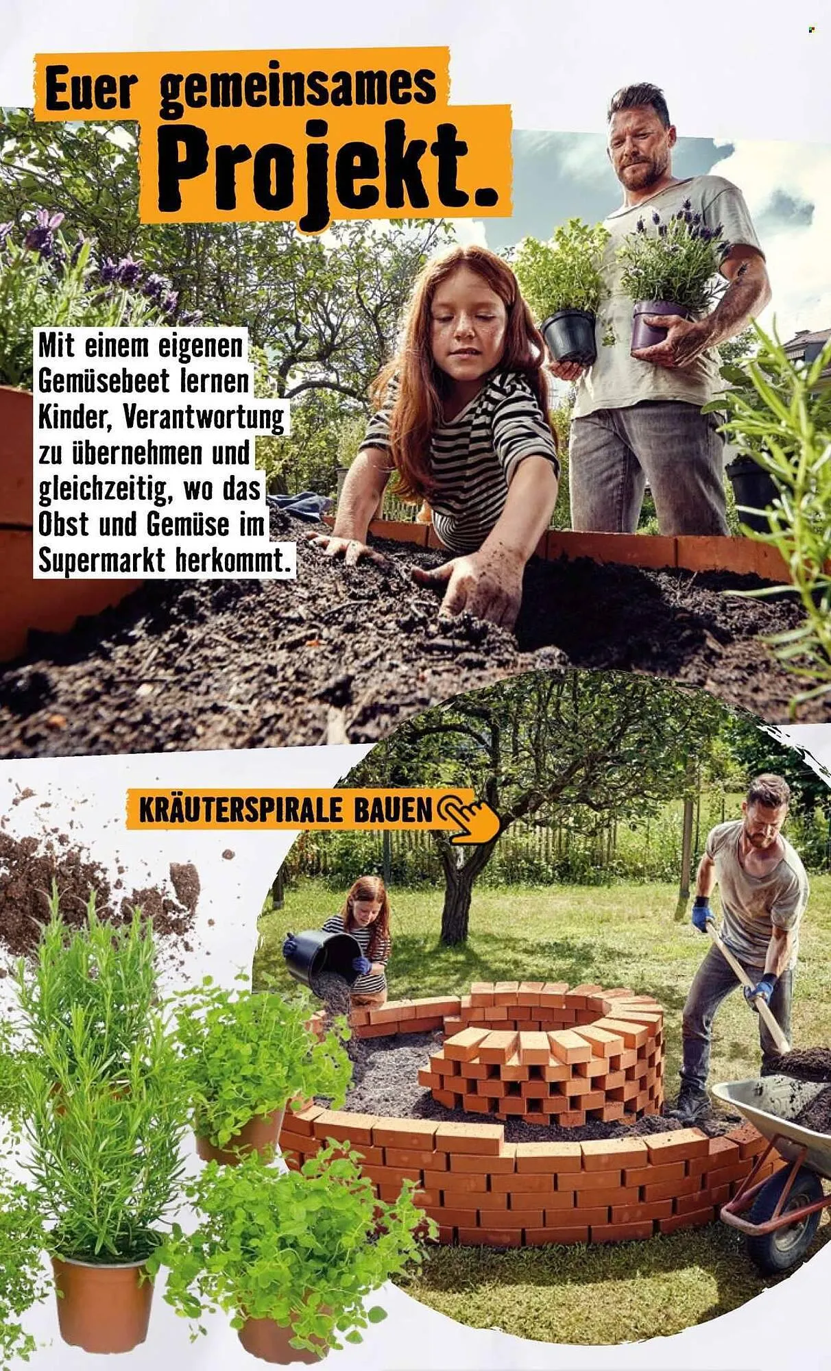 Hornbach Prospekt von 24. April bis 2. Mai 2026 - Prospekt seite 31