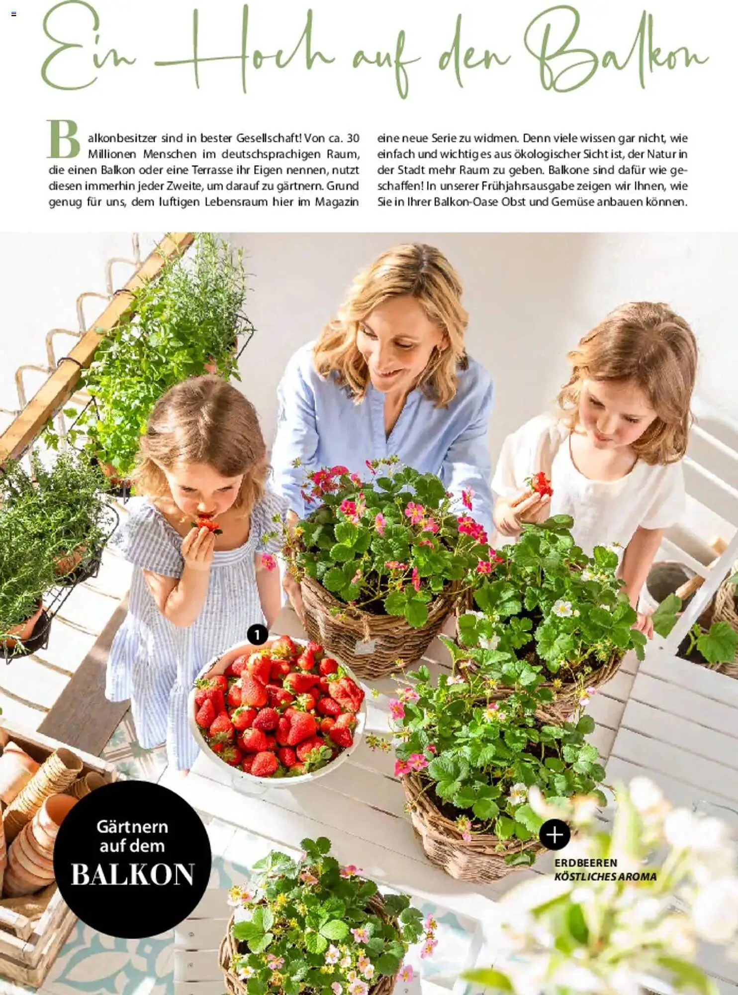 Dehner Prospekt von 6. März bis 9. Juni 2025 - Prospekt seite 12