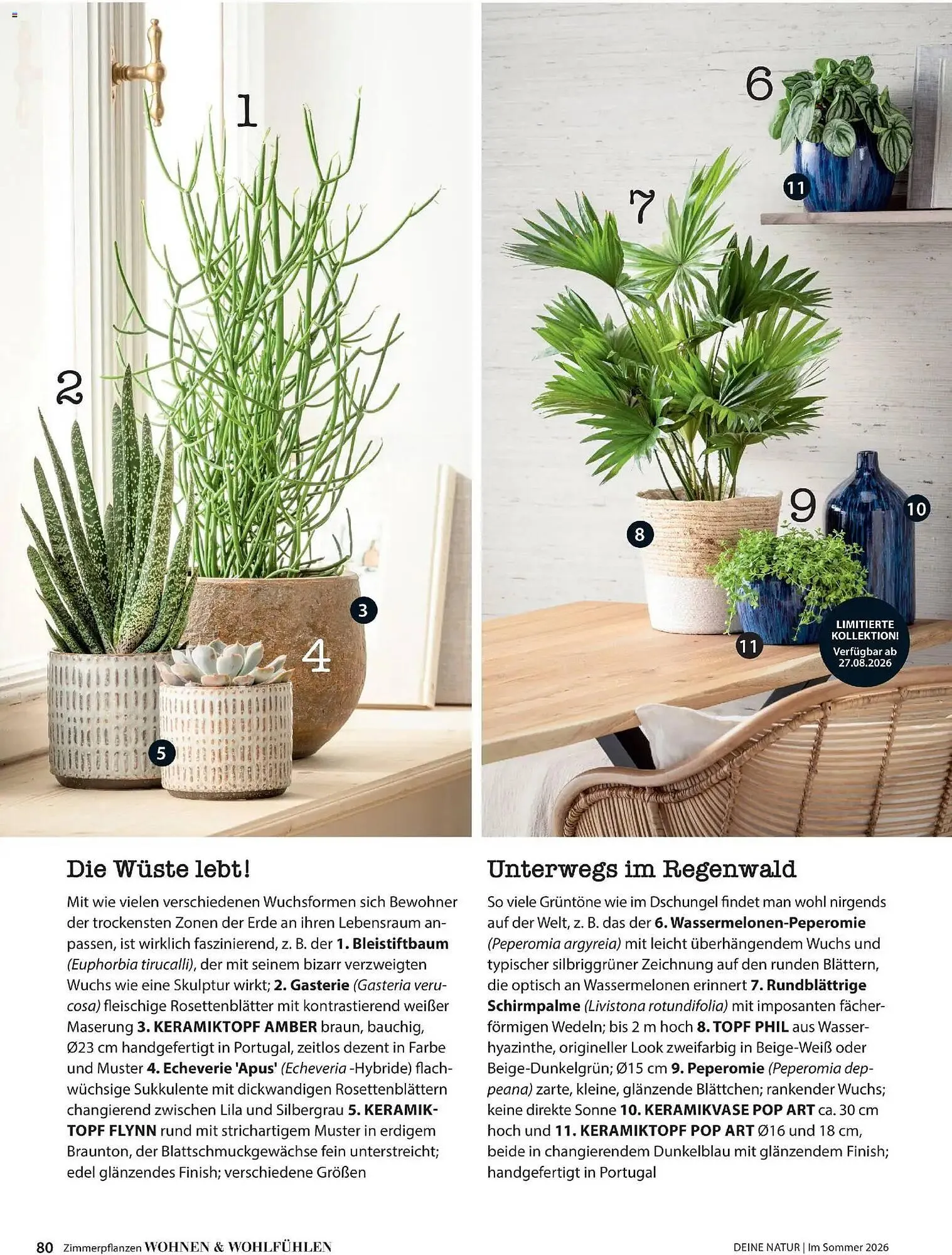 Dehner Prospekt von 17. April bis 31. August 2026 - Prospekt seite 80