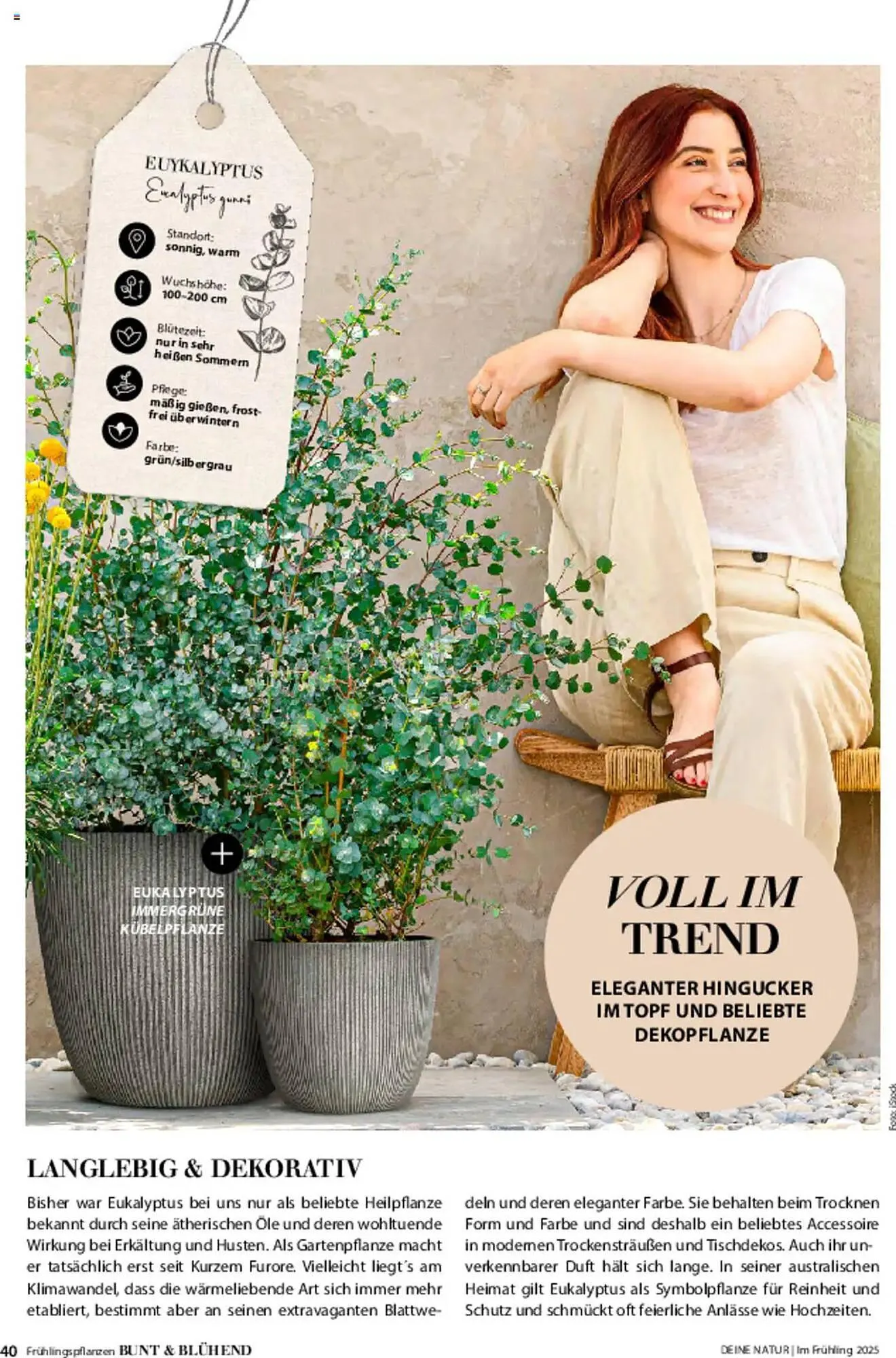 Dehner Prospekt von 6. März bis 9. Juni 2025 - Prospekt seite 40