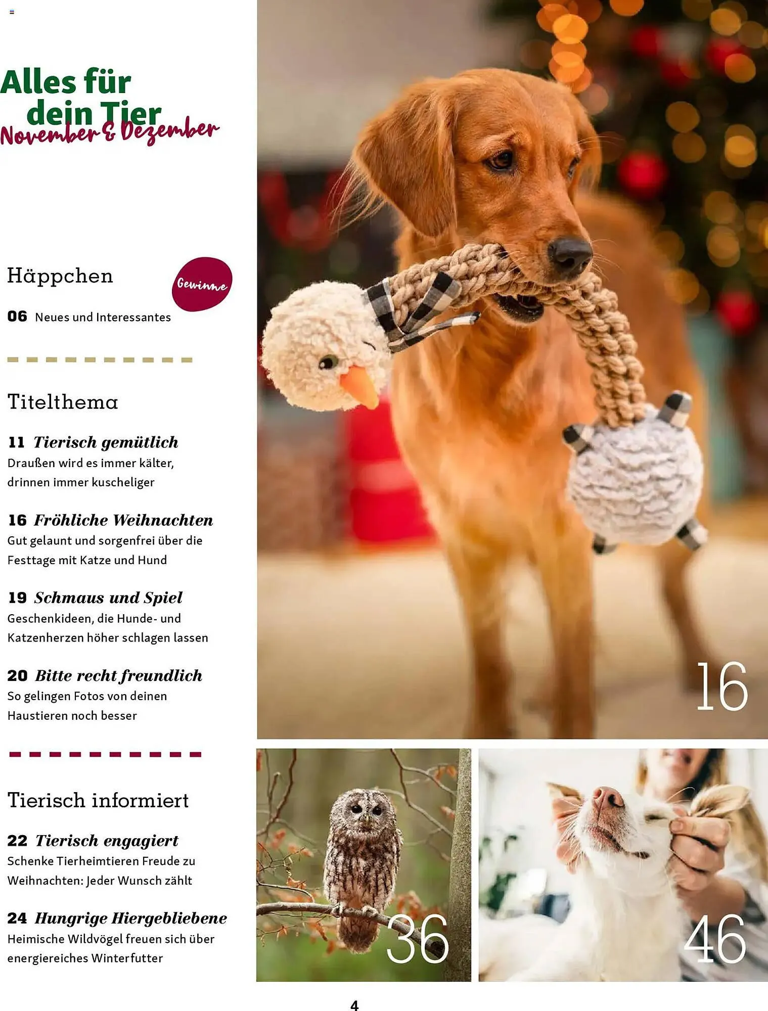 Fressnapf Magazin von 1. November bis 31. Dezember 2025 - Prospekt seite 4