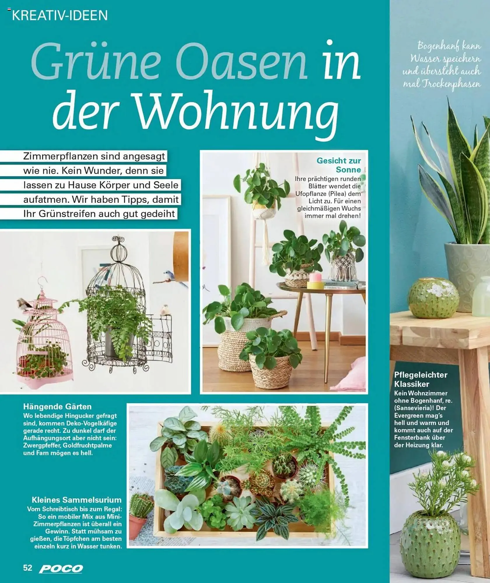 POCO Prospekt von 27. Dezember bis 3. Januar 2026 - Prospekt seite 52