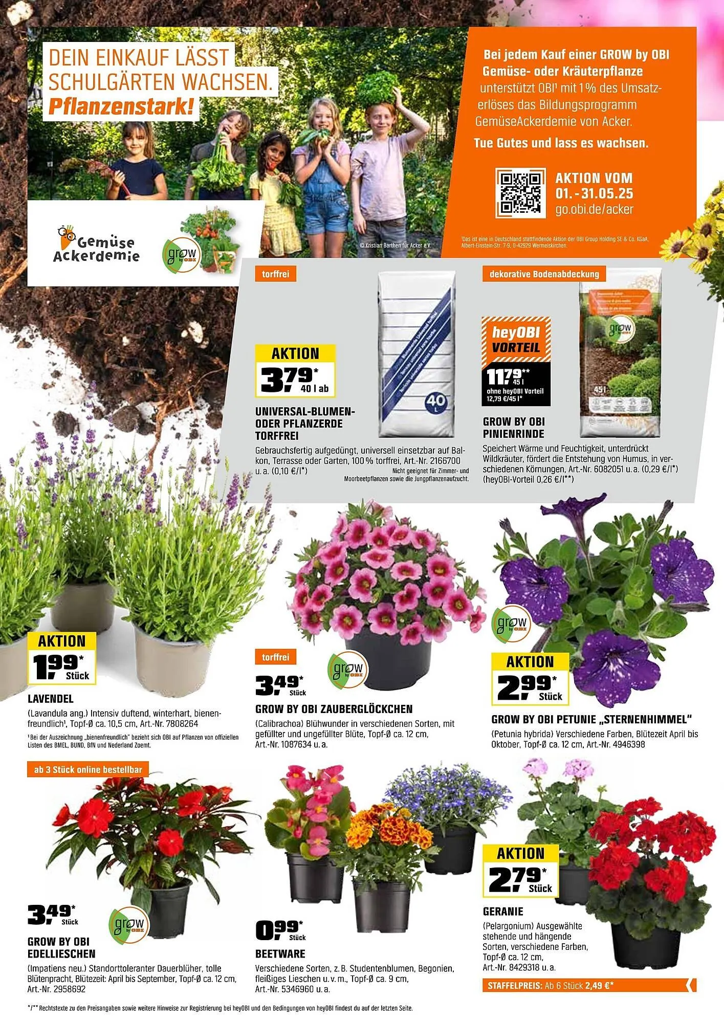 OBI Prospekt von 16. Mai bis 31. Mai 2025 - Prospekt seite 10