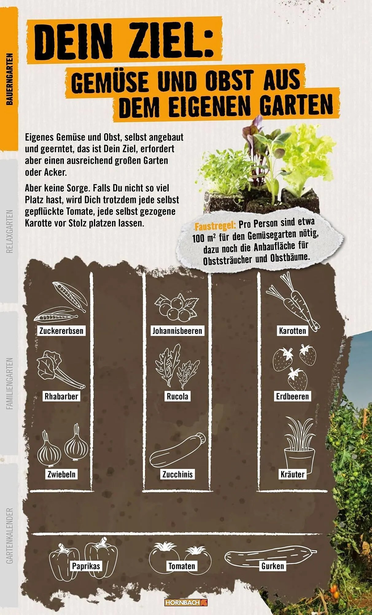 Hornbach Prospekt von 1. April bis 7. April 2025 - Prospekt seite 6