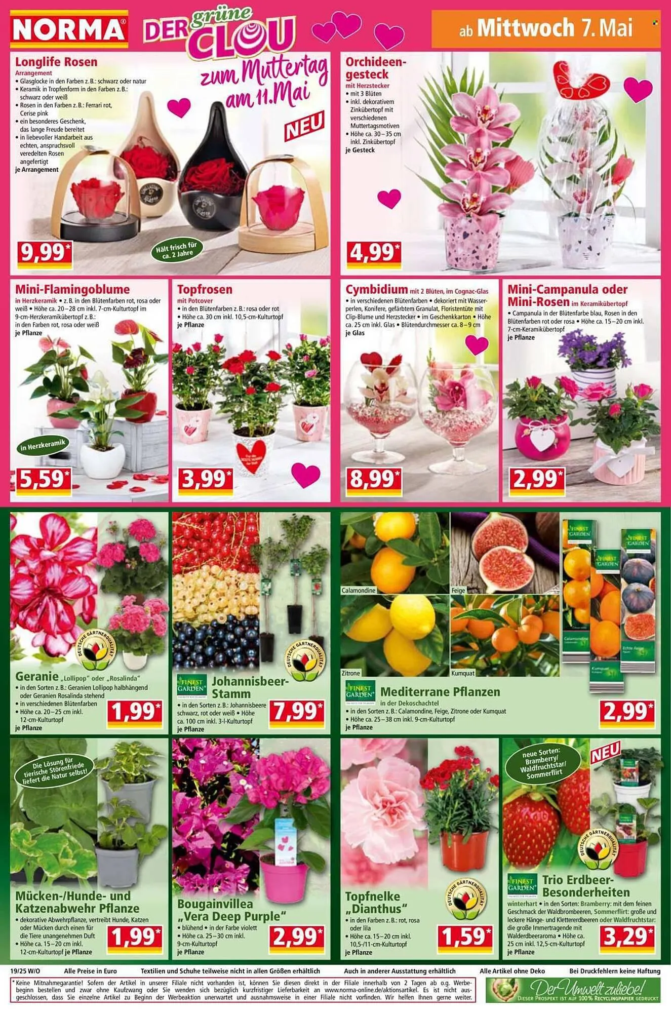 Norma Prospekt von 5. Mai bis 11. Mai 2025 - Prospekt seite 16