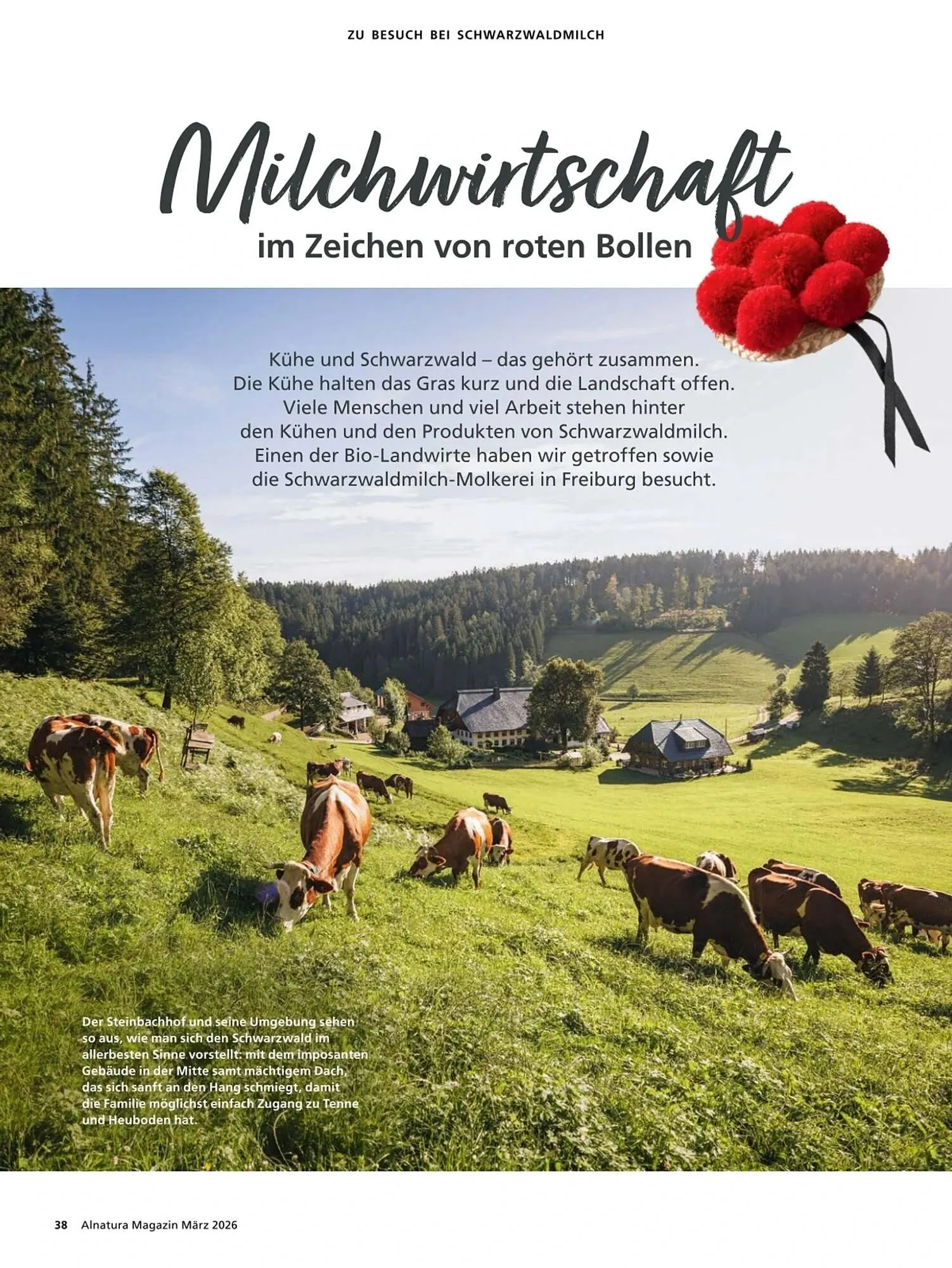 Alnatura Magazin von 4. März bis 1. April 2026 - Prospekt seite 38