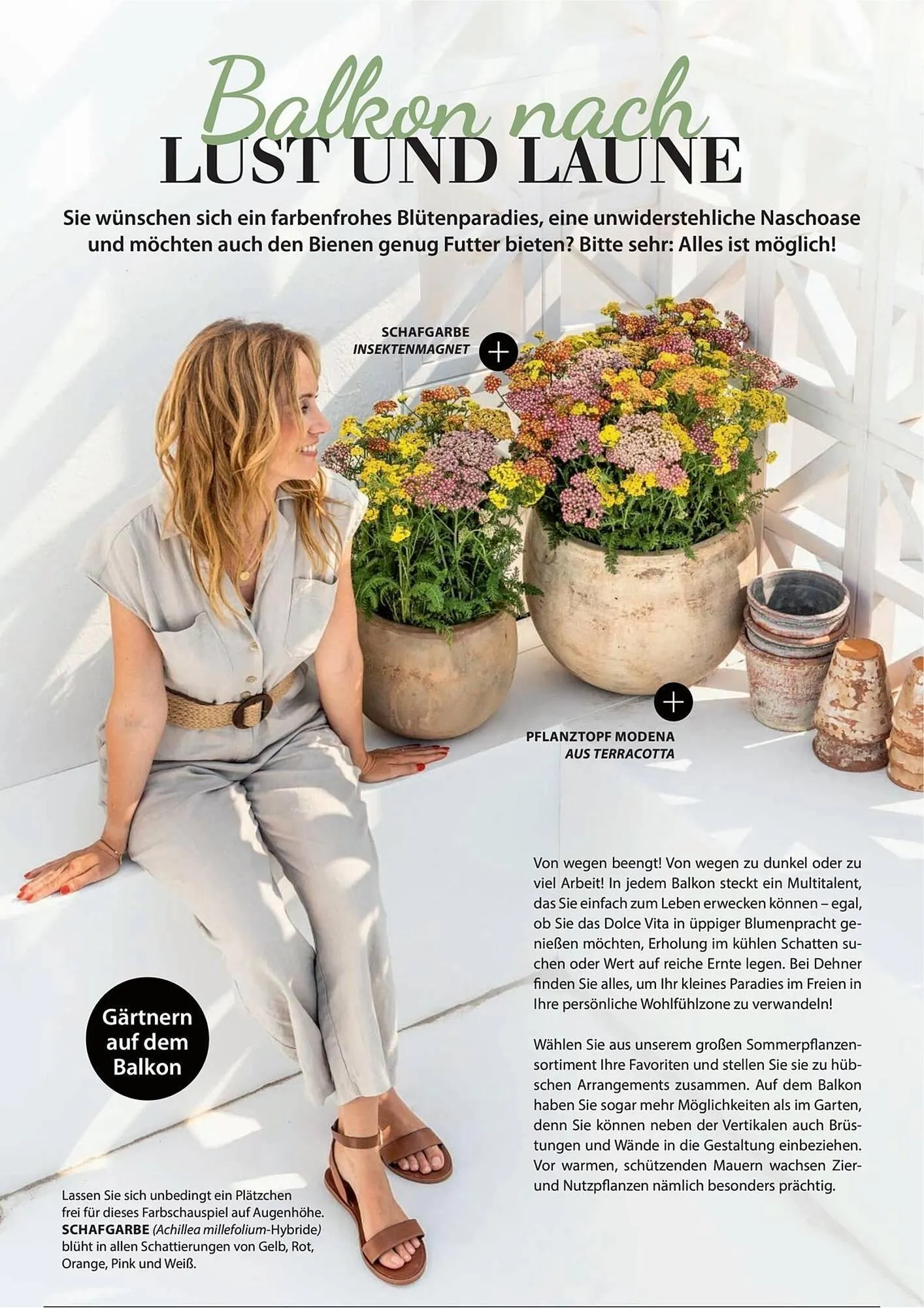 Dehner Prospekt von 1. Juli bis 31. Dezember 2025 - Prospekt seite 18