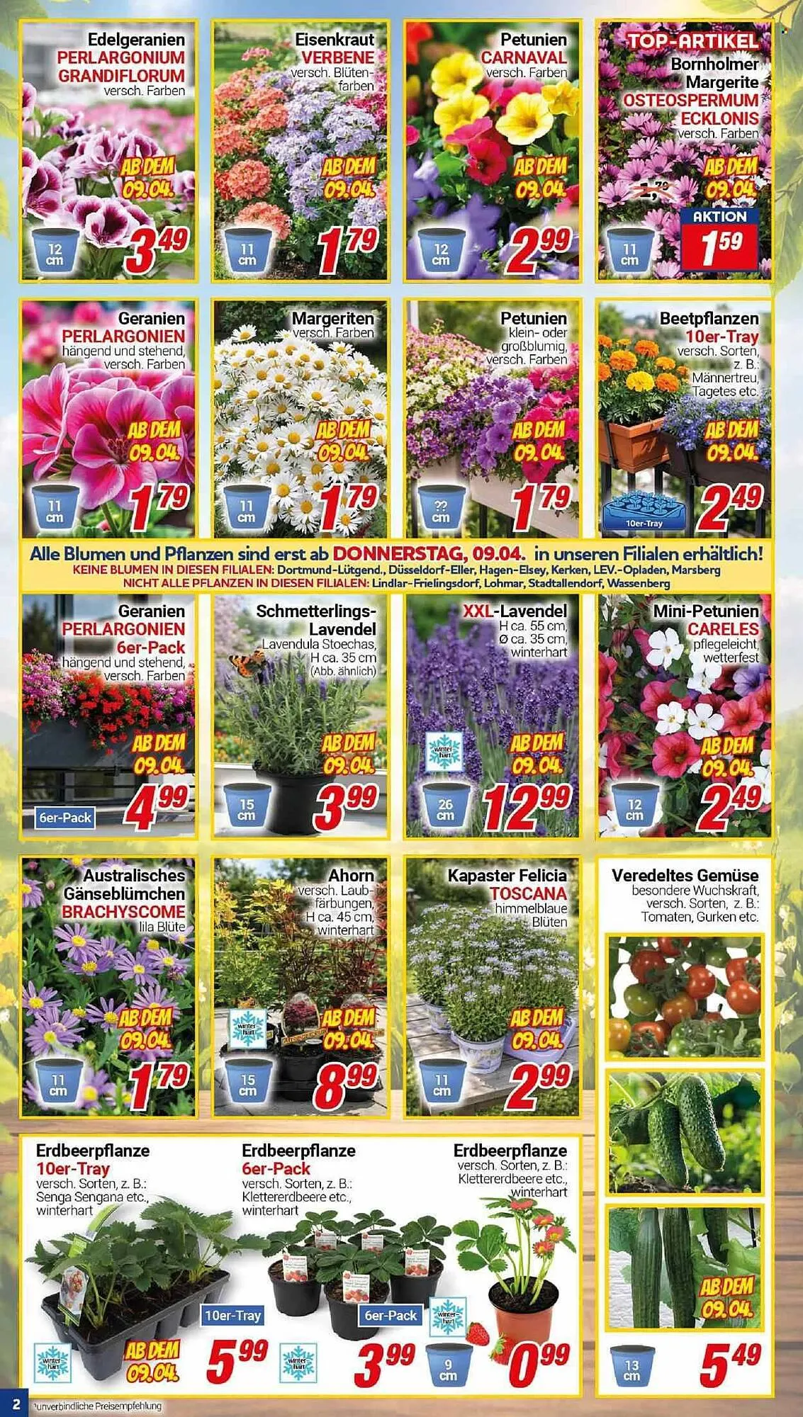 CENTERSHOP Prospekt von 7. April bis 11. April 2026 - Prospekt seite 2