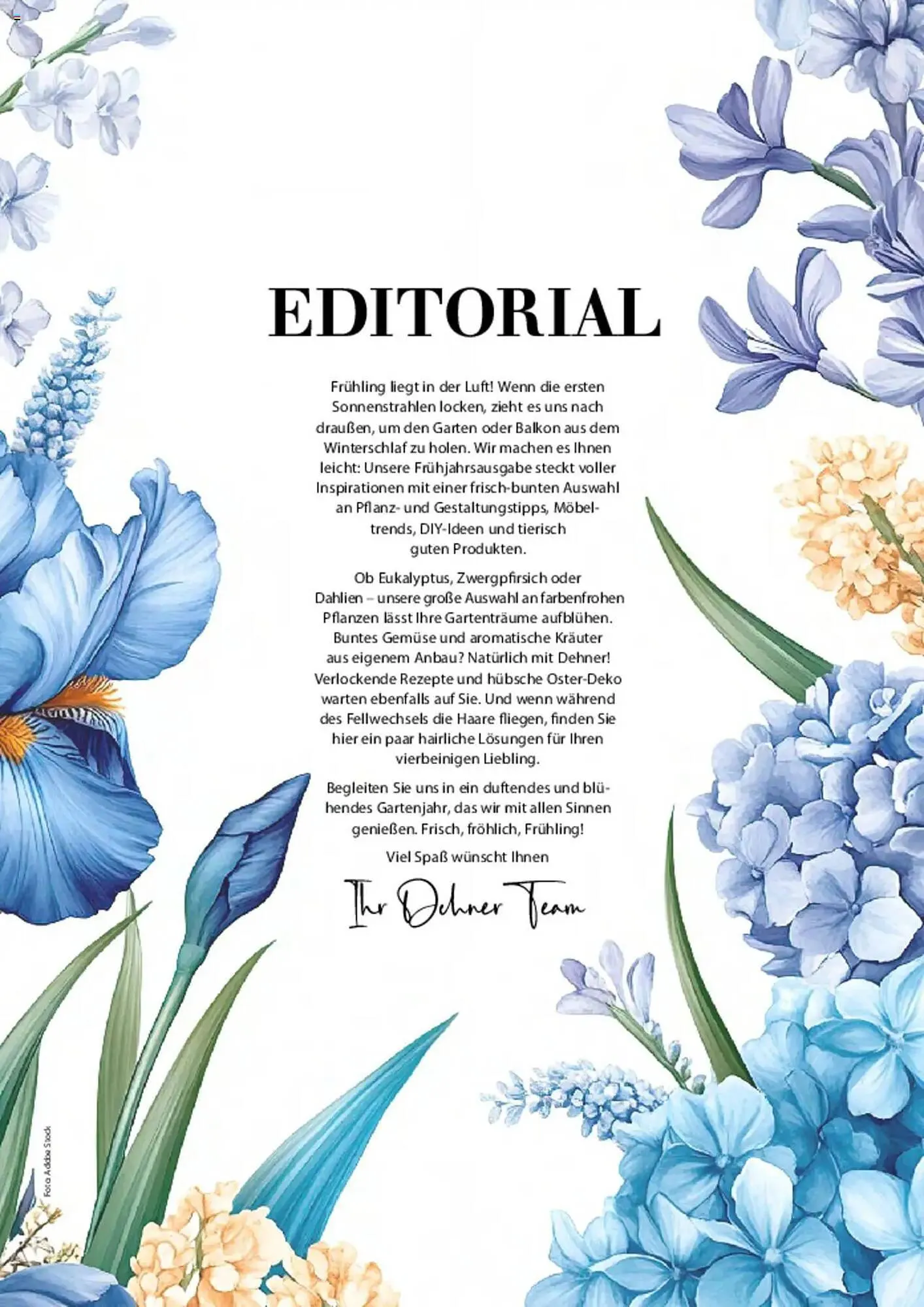 Dehner Prospekt von 6. März bis 9. Juni 2025 - Prospekt seite 3