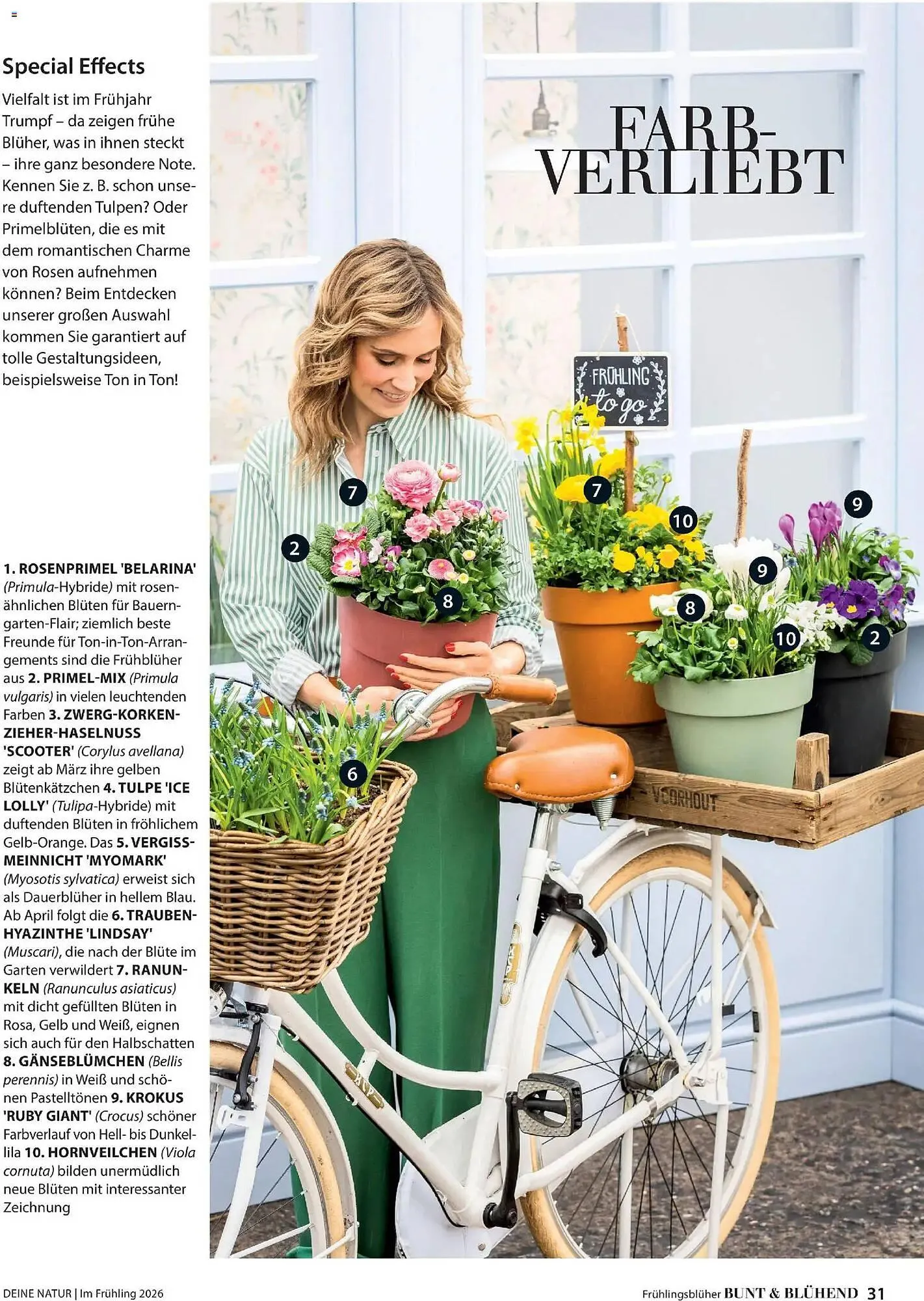 Dehner Prospekt von 4. März bis 31. Mai 2026 - Prospekt seite 31