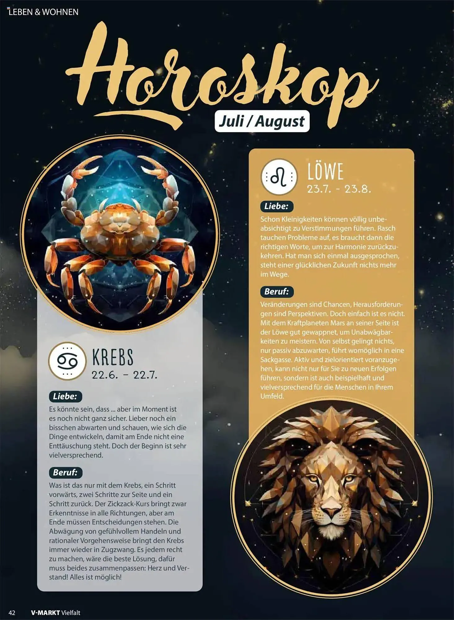 V Markt Prospekt von 1. Juli bis 31. August 2025 - Prospekt seite 42