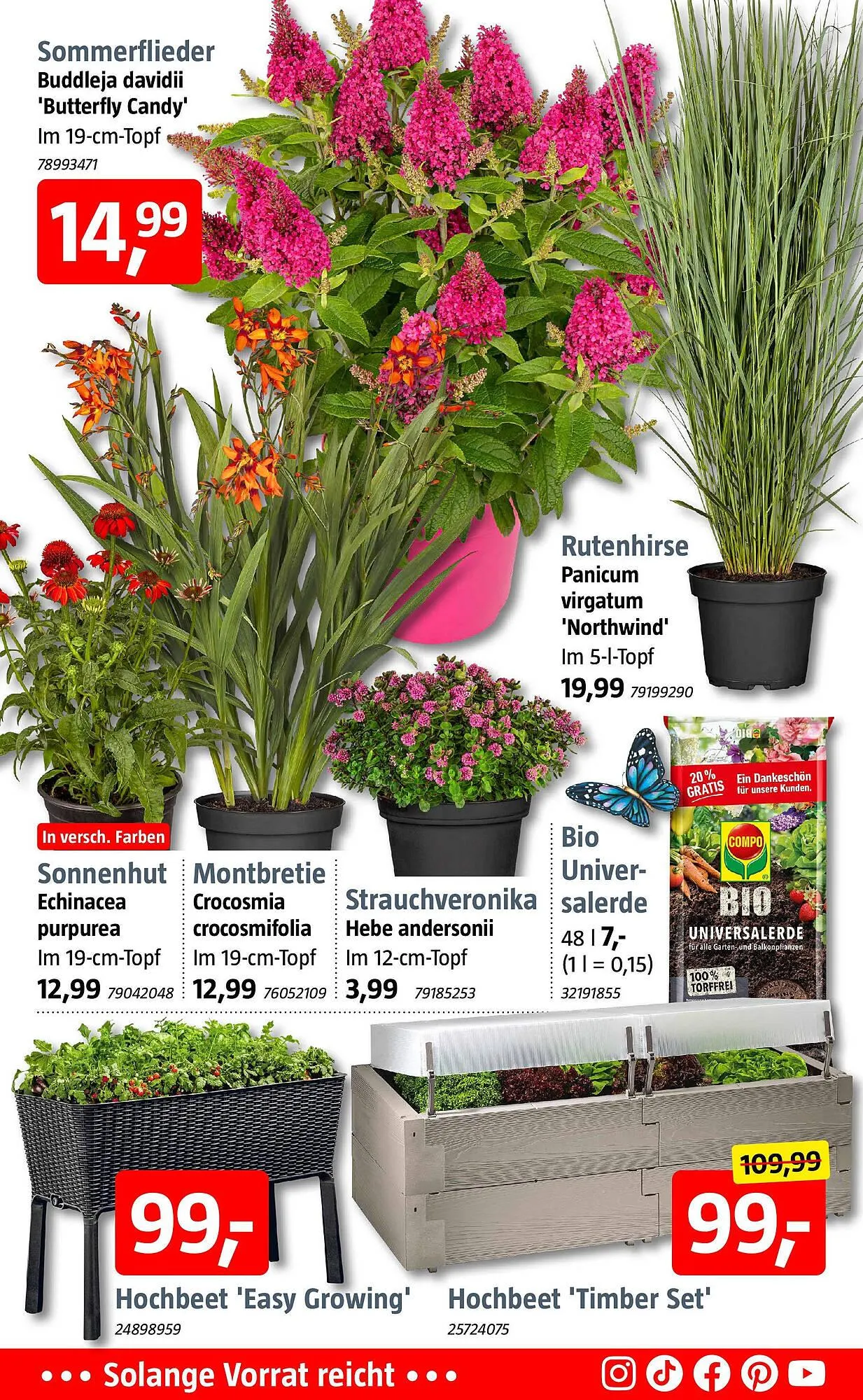 Bauhaus Prospekt von 27. Juni bis 13. Juli 2025 - Prospekt seite 5