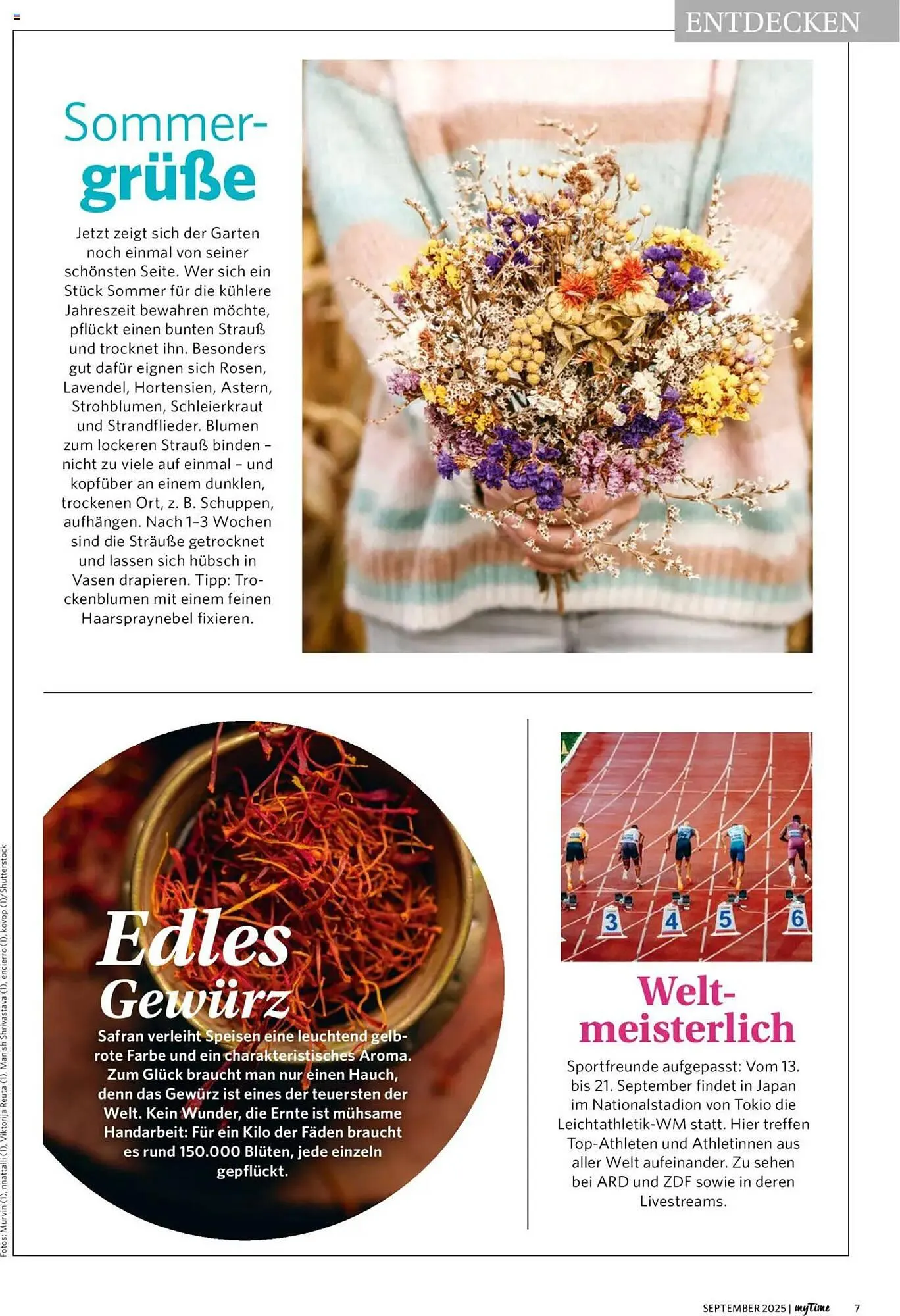 Combi Prospekt von 1. September bis 30. September 2026 - Prospekt seite 7