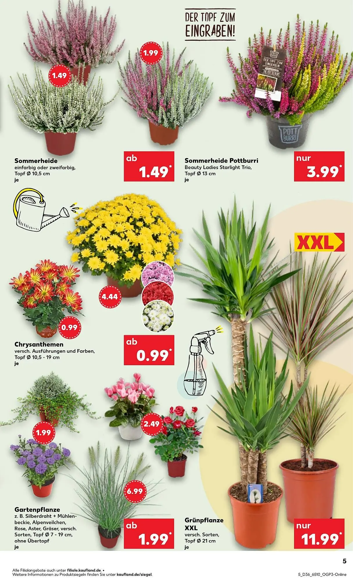 Kaufland Prospekt von 4. September bis 10. September 2025 - Prospekt seite 5