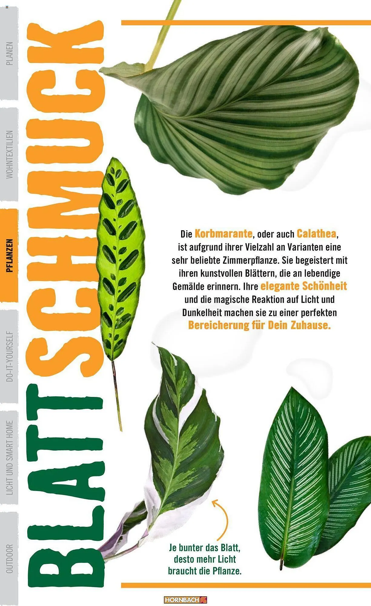 Hornbach Flugblatt von 12. Jänner bis 16. Februar 2024 - Flugblätt seite  22