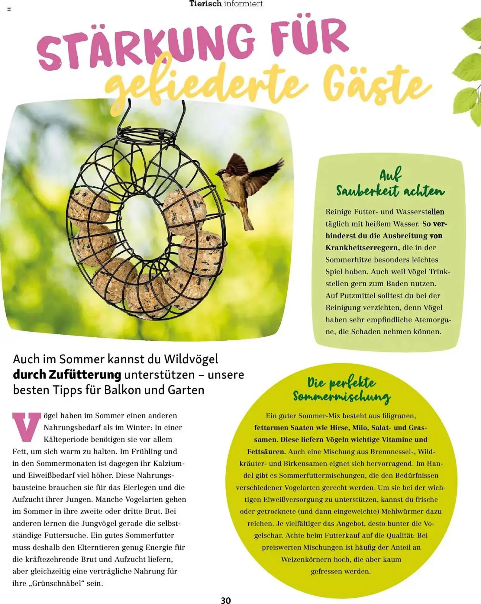 Fressnapf Prospekt von 1. Juli bis 31. August 2025 - Prospekt seite 30