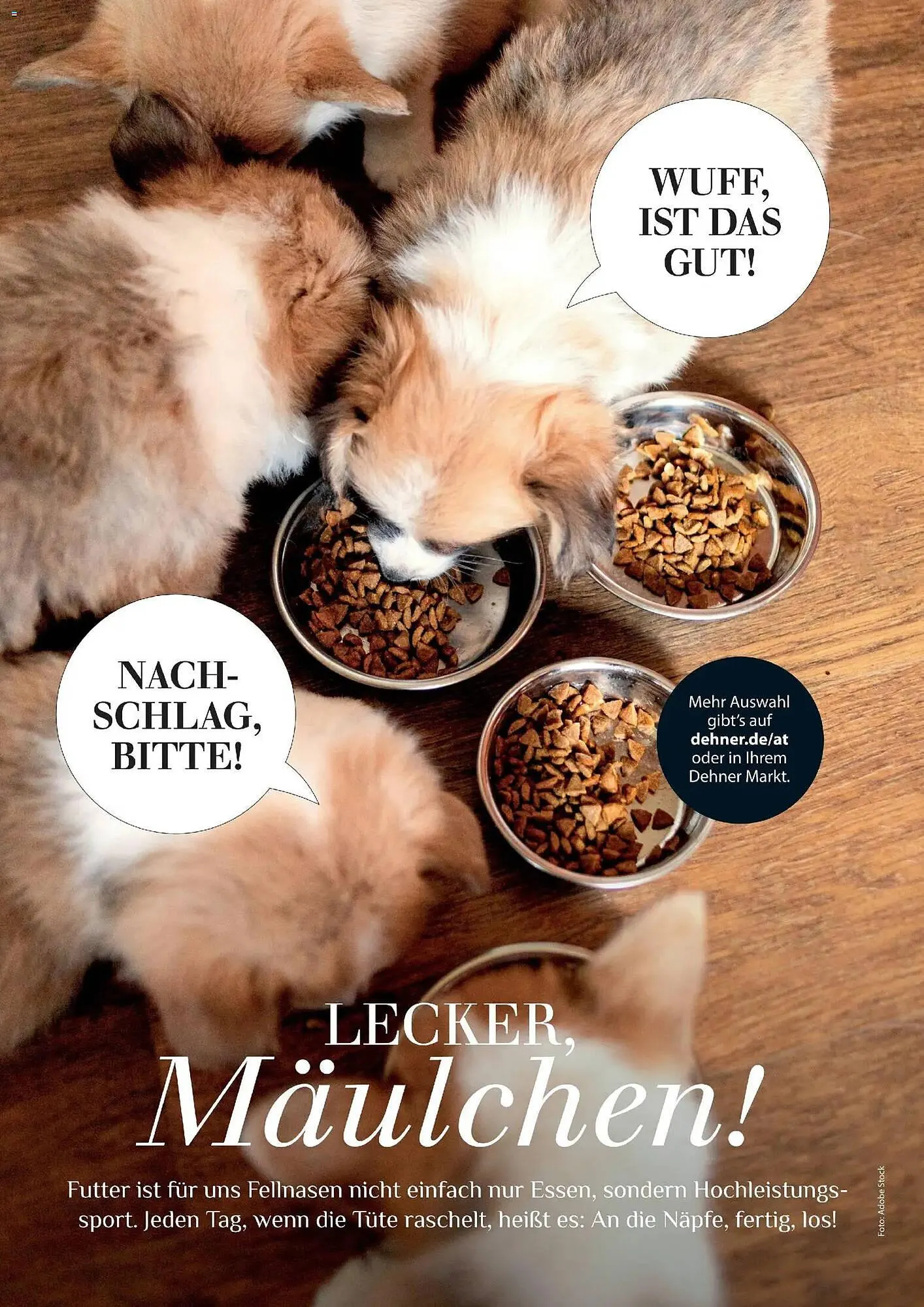 Dehner Prospekt von 17. April bis 31. August 2026 - Prospekt seite 88