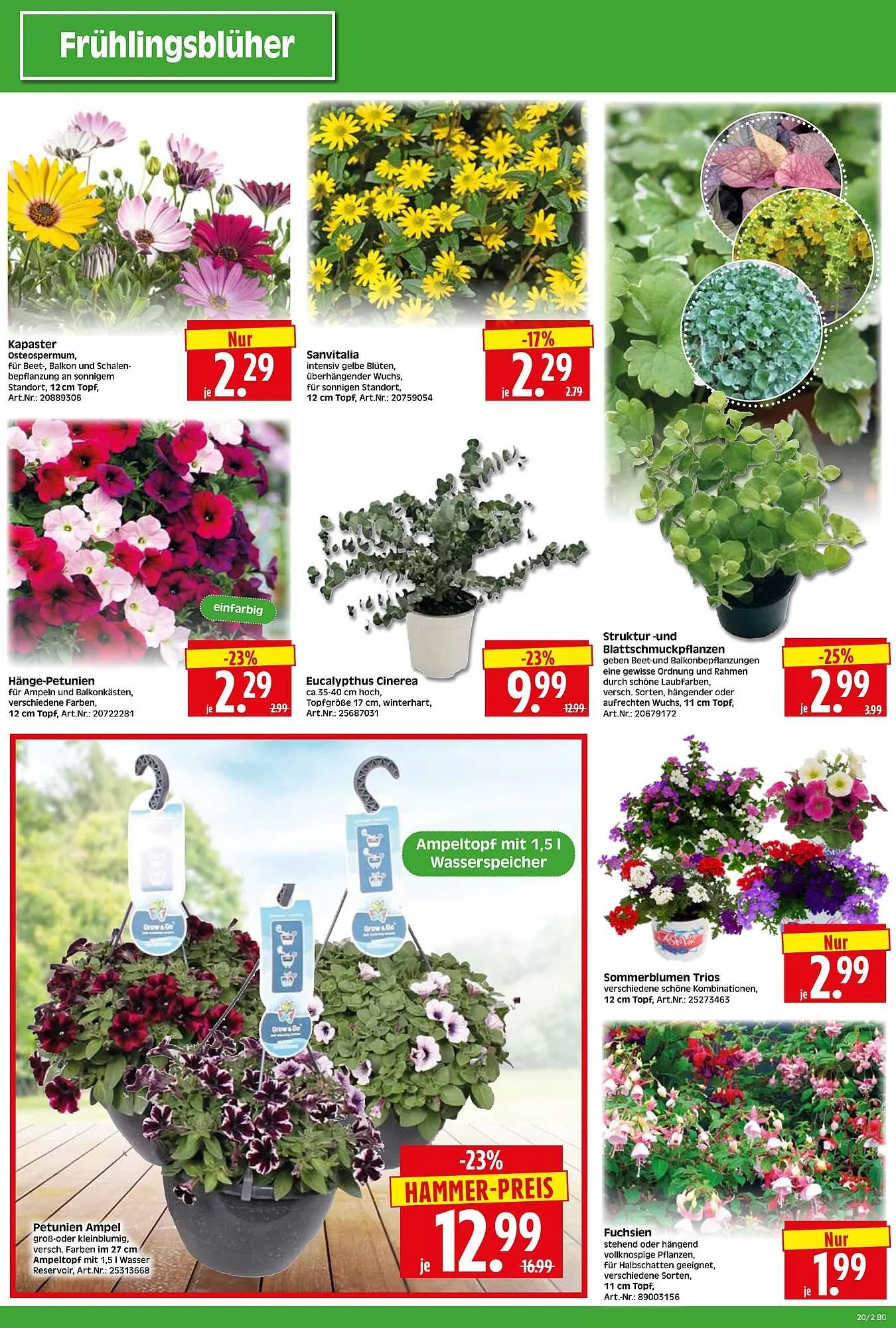 Herkules Baumarkt Prospekt von 12. Mai bis 17. Mai 2025 - Prospekt seite 2