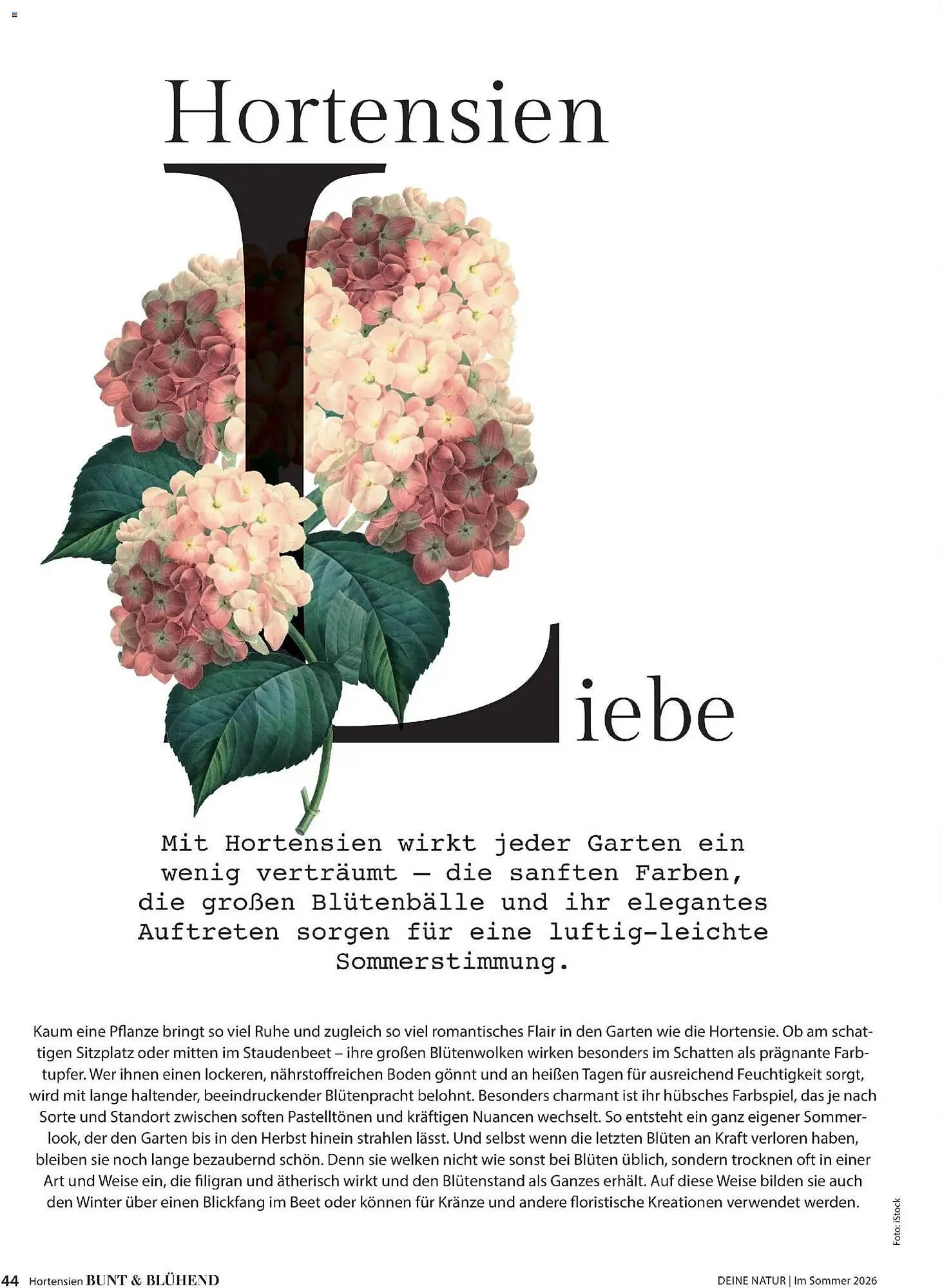 Dehner Prospekt von 17. April bis 31. August 2026 - Prospekt seite 44