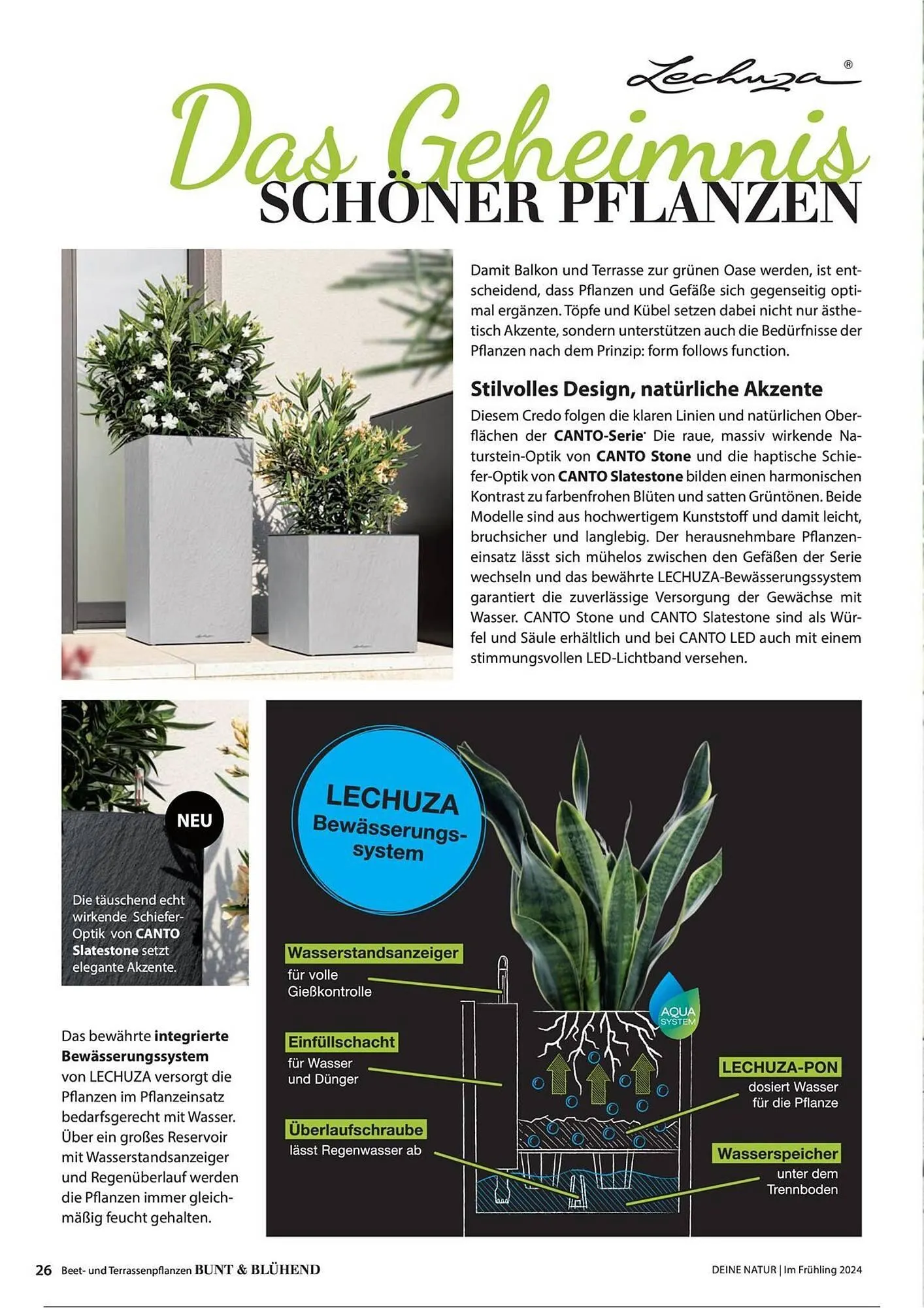 Dehner Prospekt von 1. Juli bis 31. Dezember 2025 - Prospekt seite 26