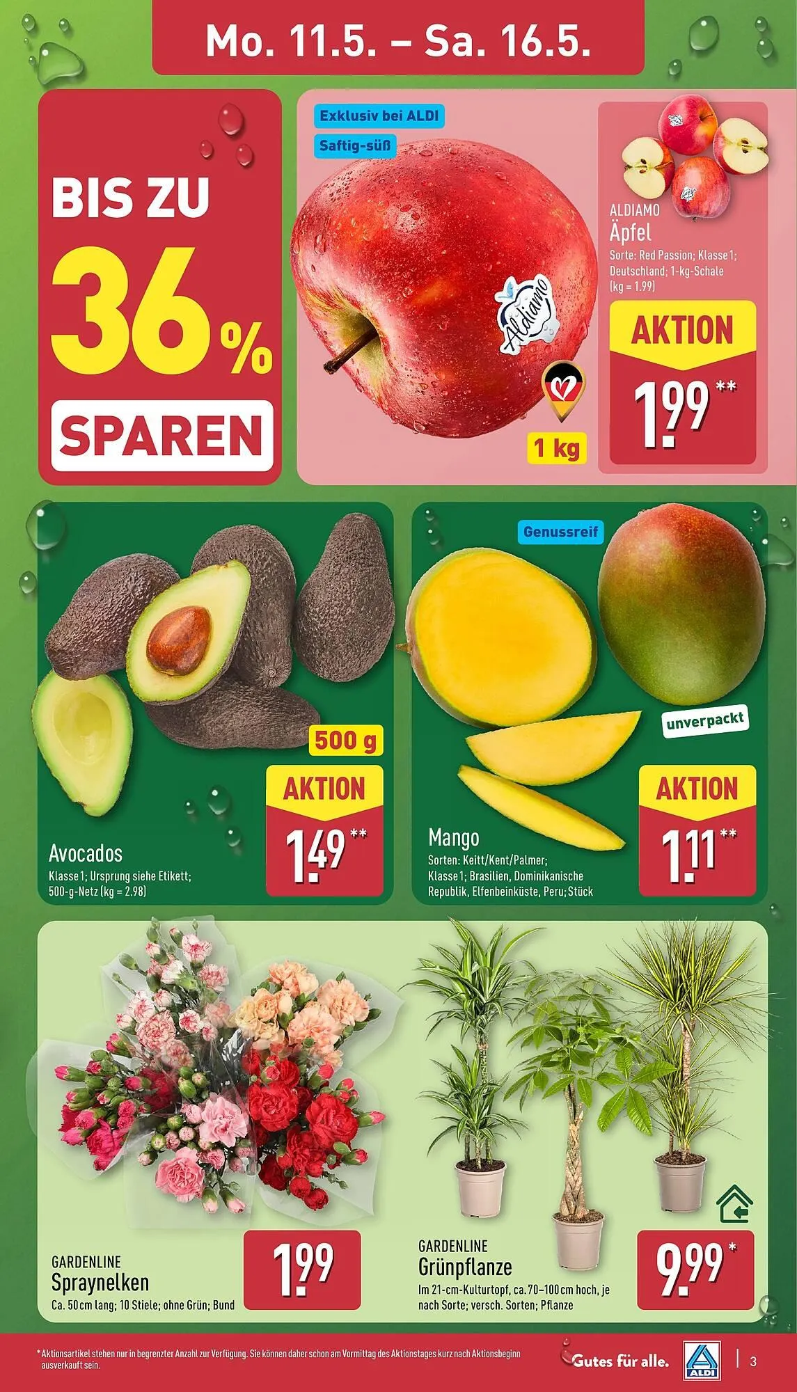 Aldi Nord Prospekt von 11. Mai bis 16. Mai 2026 - Prospekt seite 3