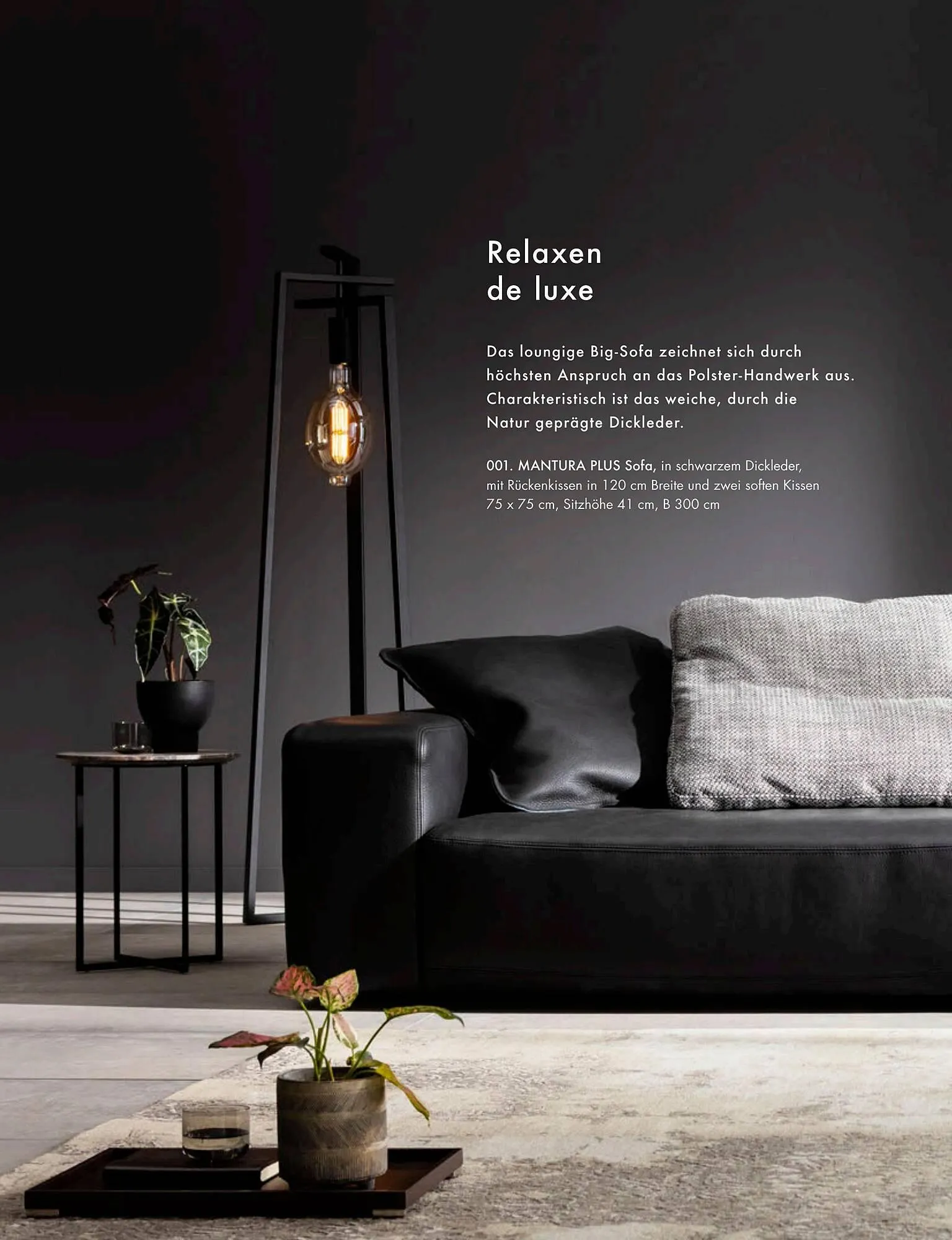 Wiethoff Prospekt von 20. Februar bis 31. März 2025 - Prospekt seite 50