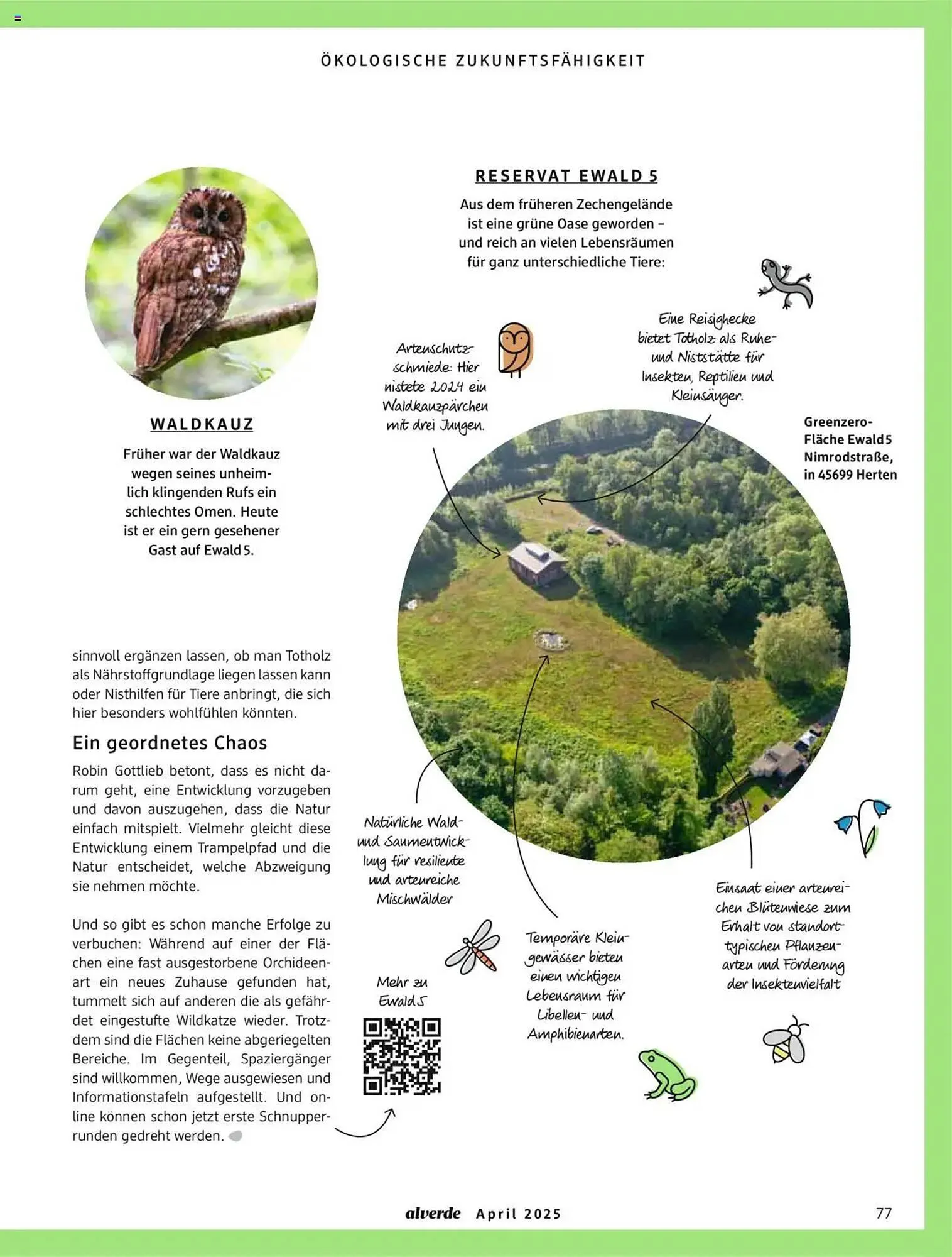 dm drogerie Prospekt von 1. April bis 30. April 2025 - Prospekt seite 77