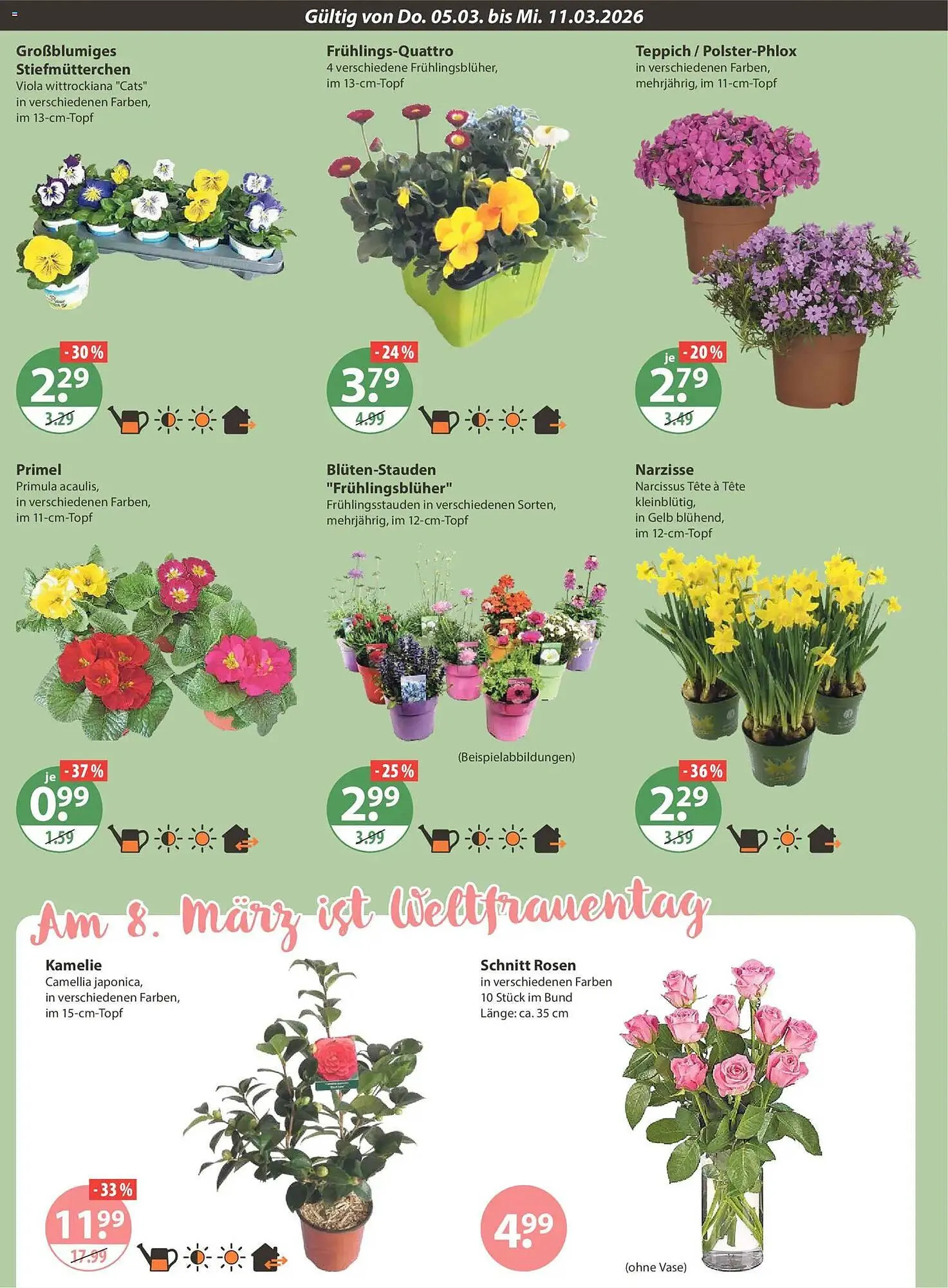 V Markt Prospekt von 5. März bis 11. März 2026 - Prospekt seite 14