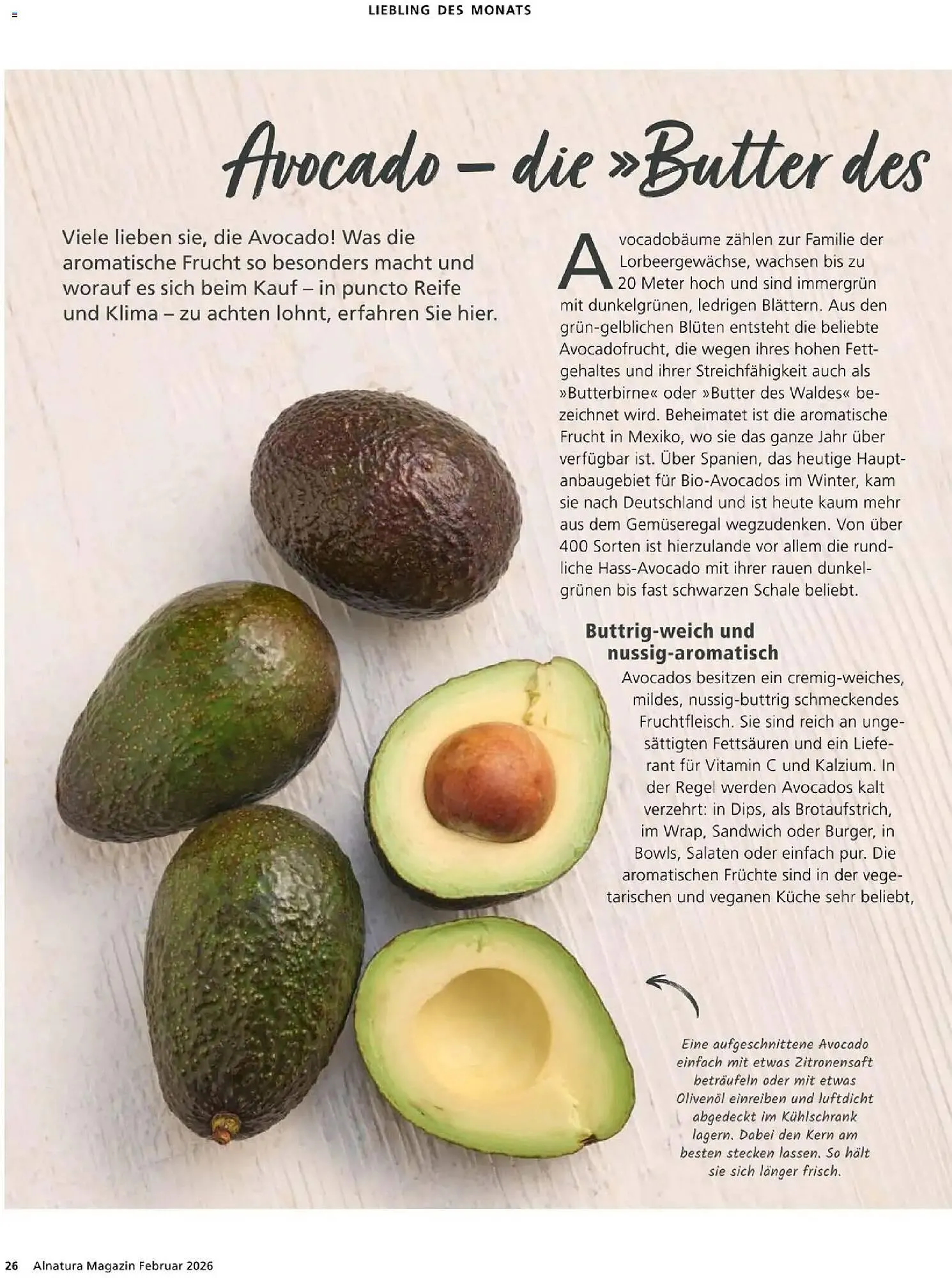 Alnatura Prospekt von 1. Februar bis 28. Februar 2026 - Prospekt seite 26