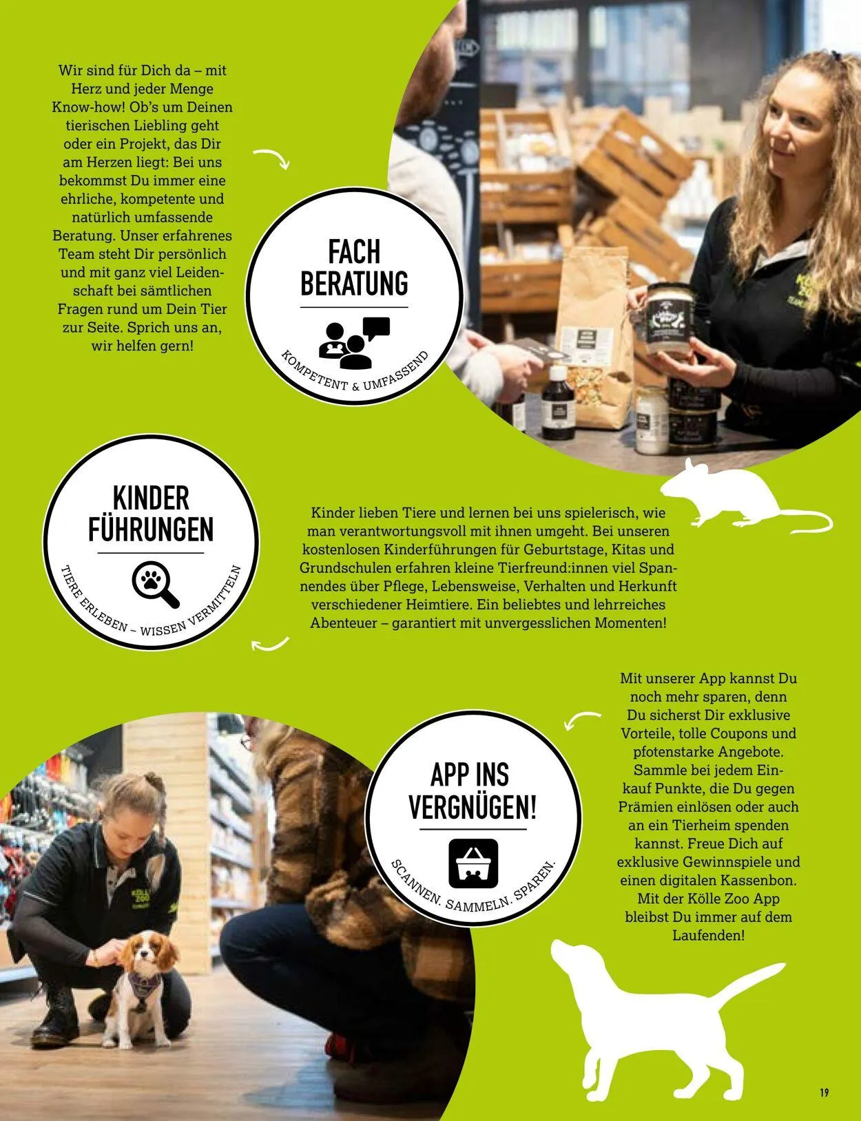 Kölle Zoo Aktueller Prospekt von 30. Juli bis 13. August 2025 - Prospekt seite 19