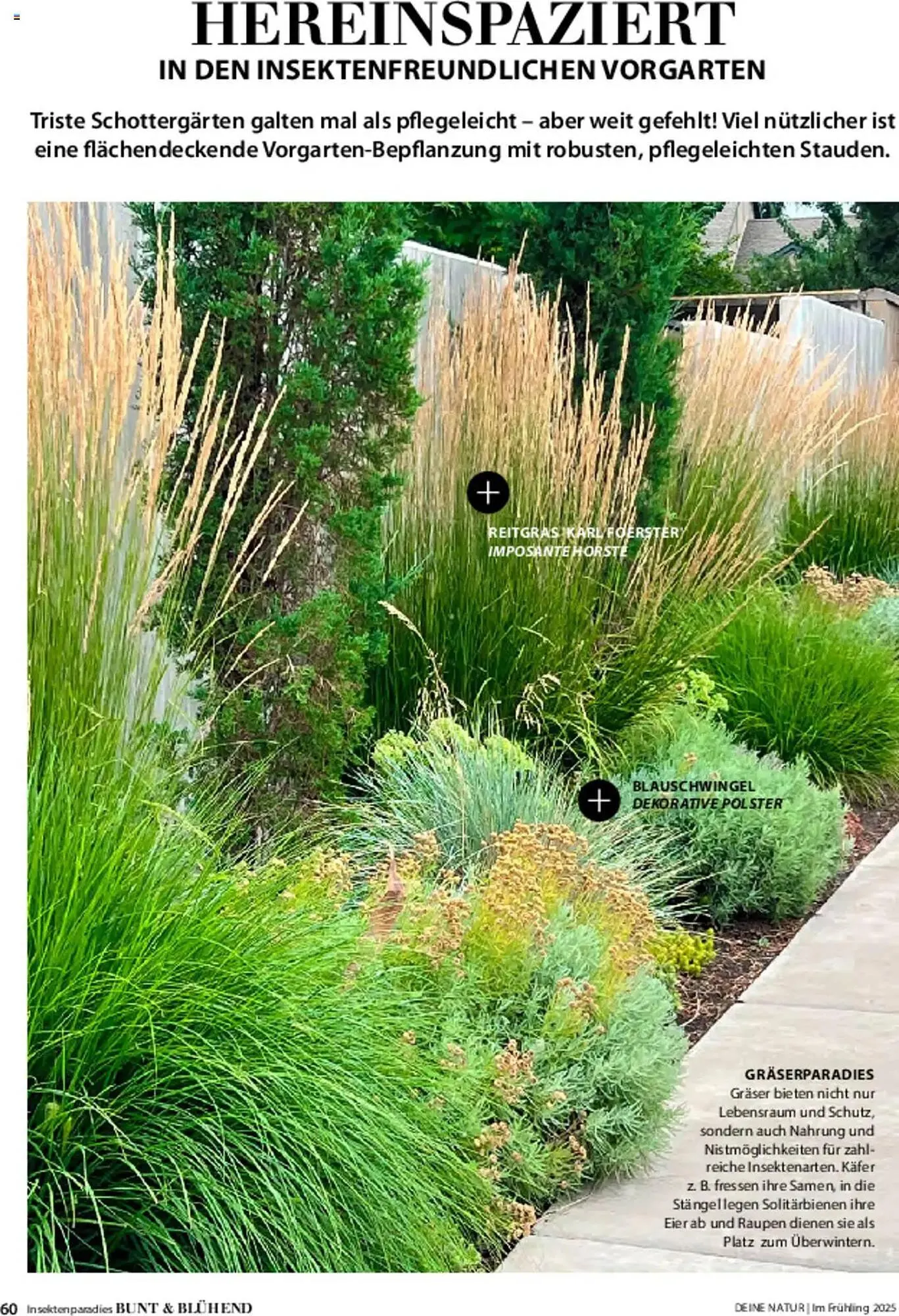 Dehner Prospekt von 6. März bis 9. Juni 2025 - Prospekt seite 60