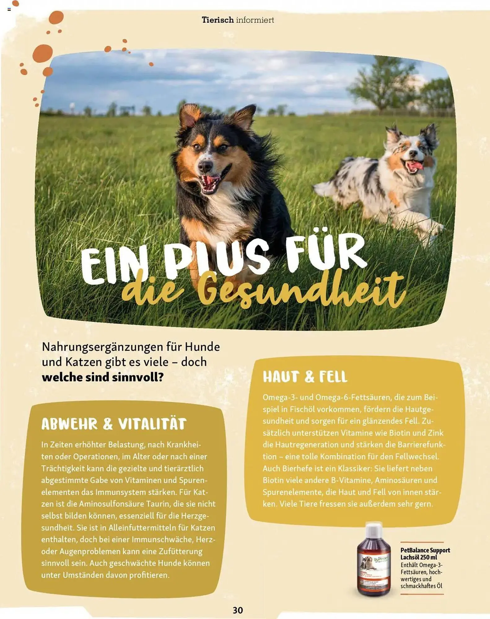 Fressnapf Magazin von 1. September bis 31. Oktober 2025 - Prospekt seite 30