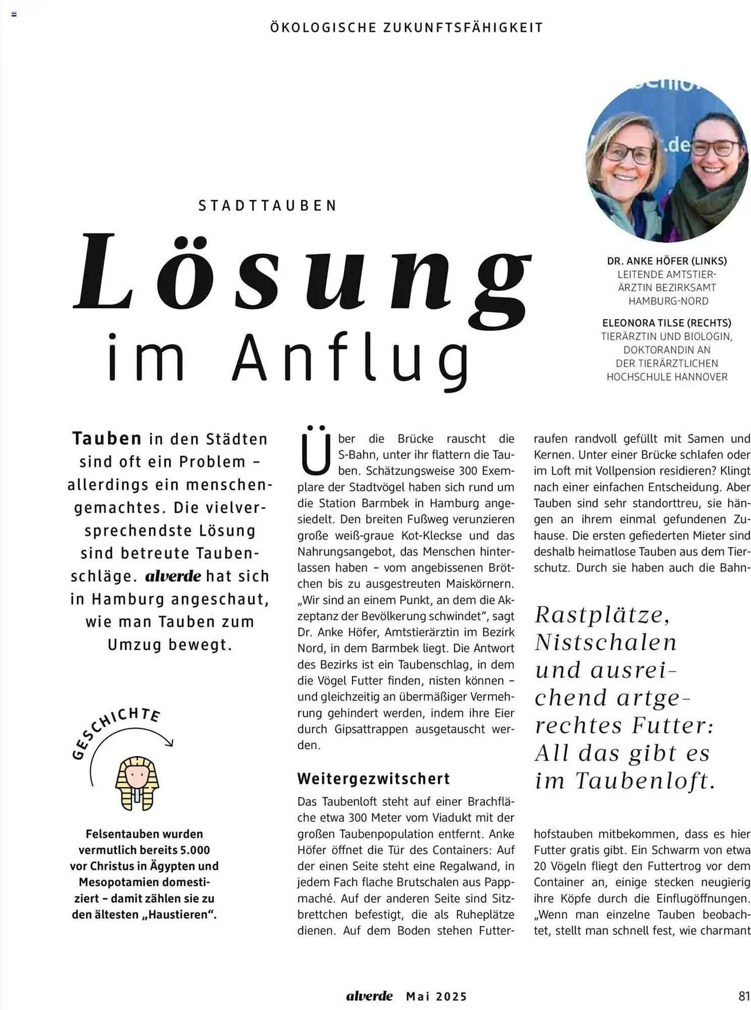 dm drogerie Prospekt von 1. Mai bis 31. Mai 2025 - Prospekt seite 81