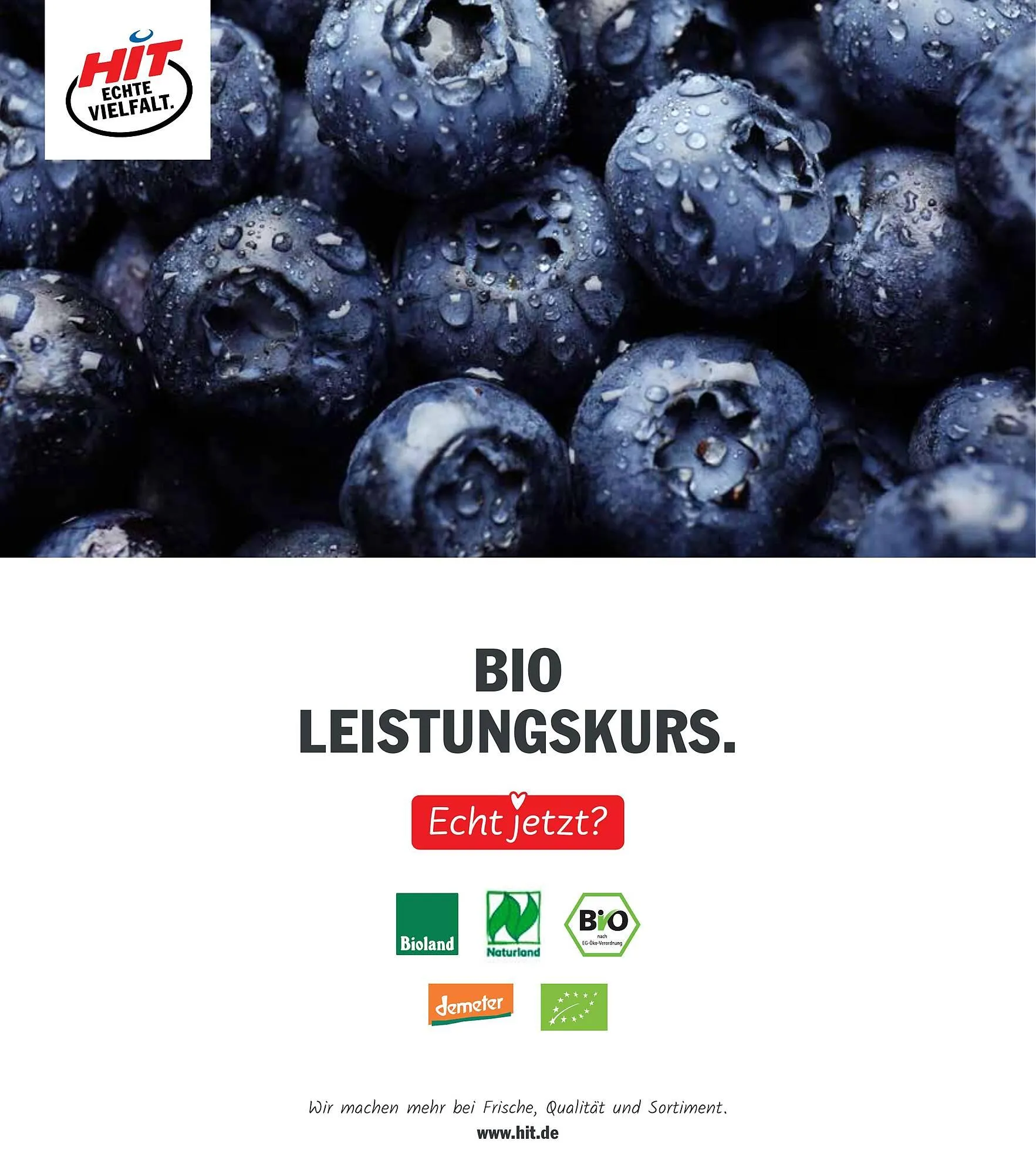 Hit Prospekt von 14. April bis 19. April 2025 - Prospekt seite 19