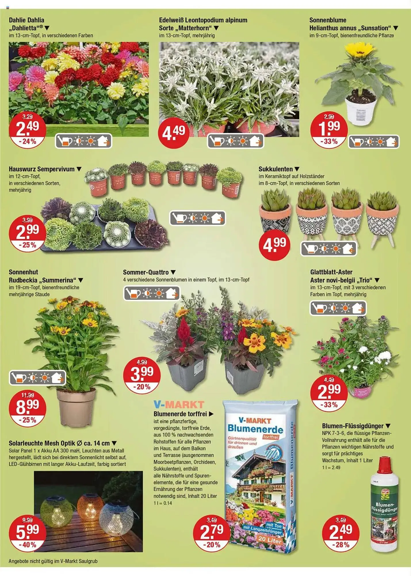 V Markt Prospekt von 24. Juli bis 30. Juli 2025 - Prospekt seite 14