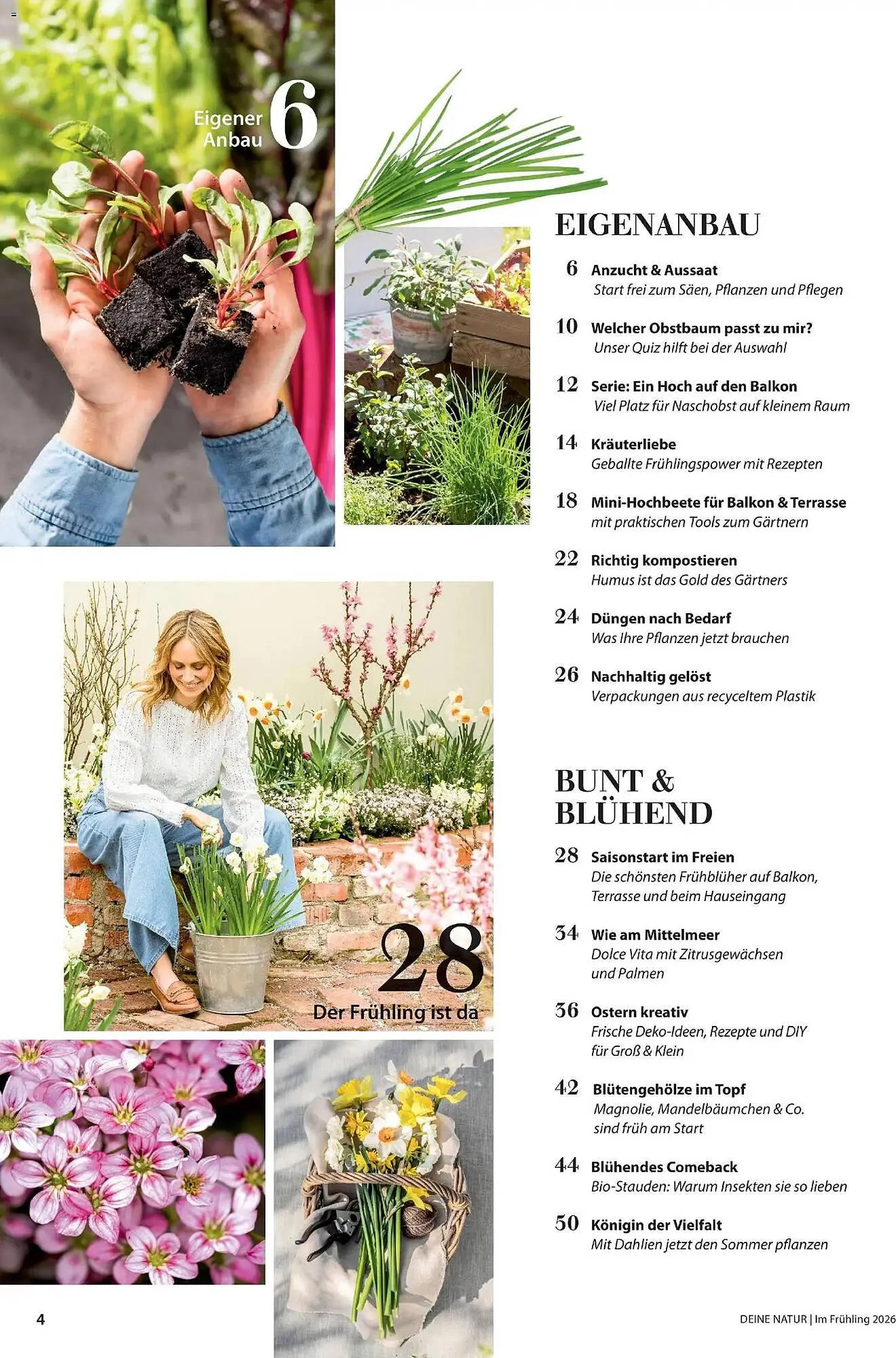 Dehner Prospekt von 4. März bis 31. Mai 2026 - Prospekt seite 4