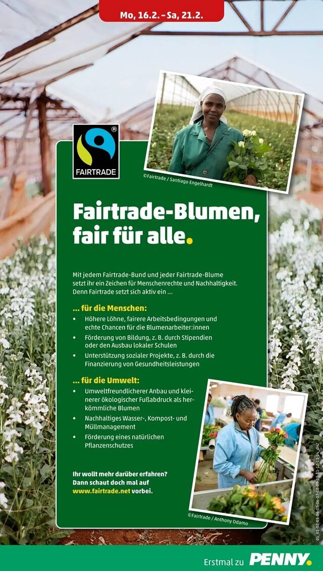 PENNY Prospekt von 16. Februar bis 22. Februar 2026 - Prospekt seite 7