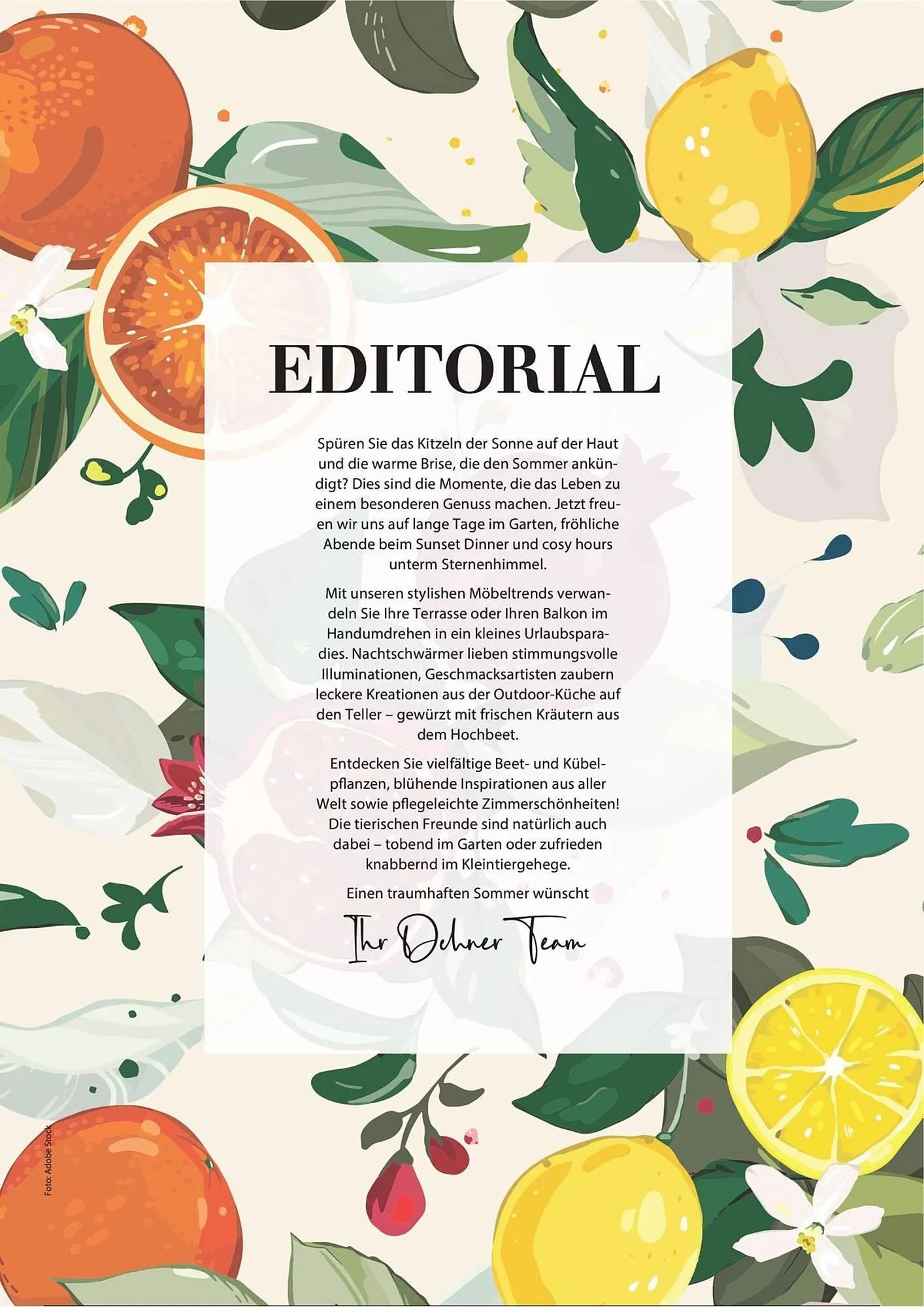 Dehner Prospekt von 1. Juli bis 31. Dezember 2025 - Prospekt seite 3