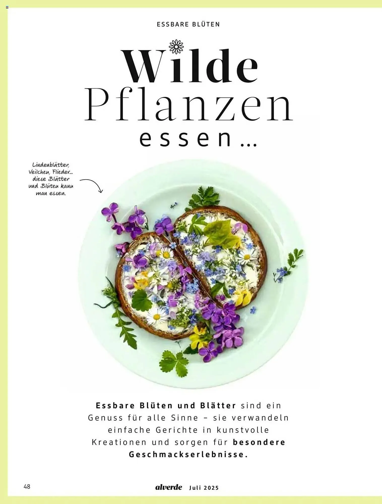 dm drogerie Prospekt von 1. Juli bis 31. Juli 2025 - Prospekt seite 48