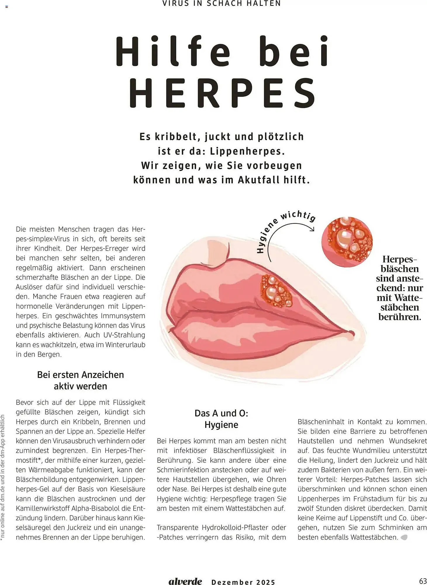 Dm drogerie Magazin von 1. Januar bis 31. Januar 2026 - Prospekt seite 63