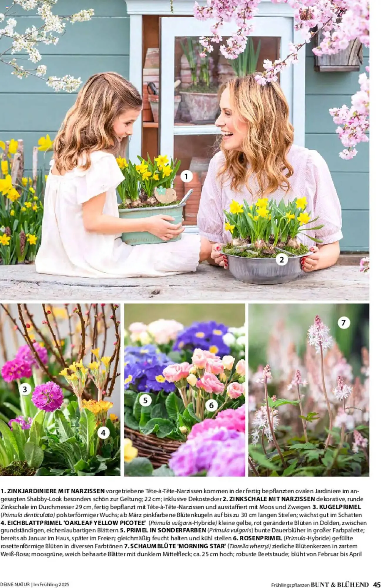 Dehner Prospekt von 6. März bis 9. Juni 2025 - Prospekt seite 45