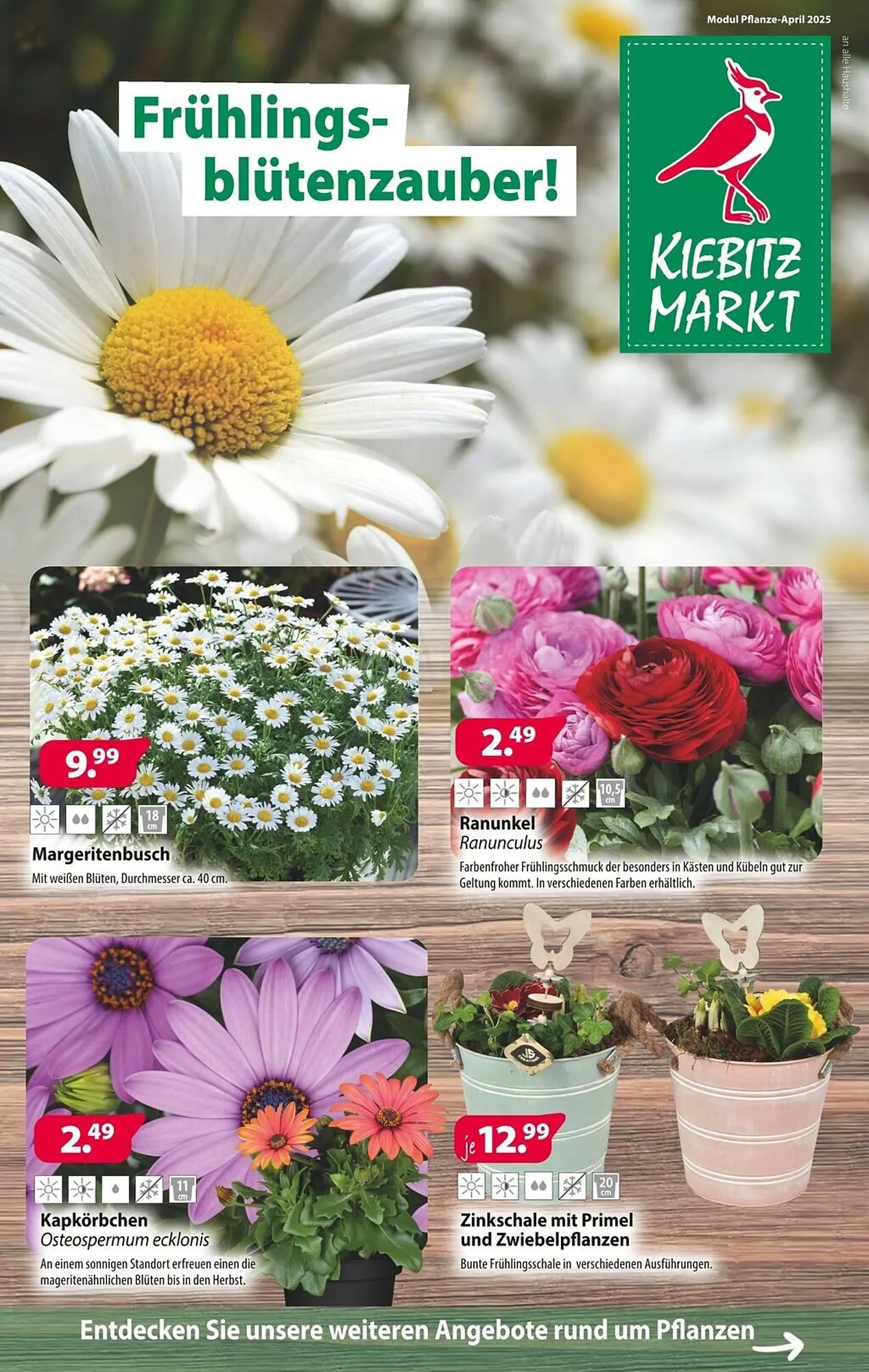 Kiebitzmarkt Prospekt von 5. April bis 12. April 2025 - Prospekt seite 9