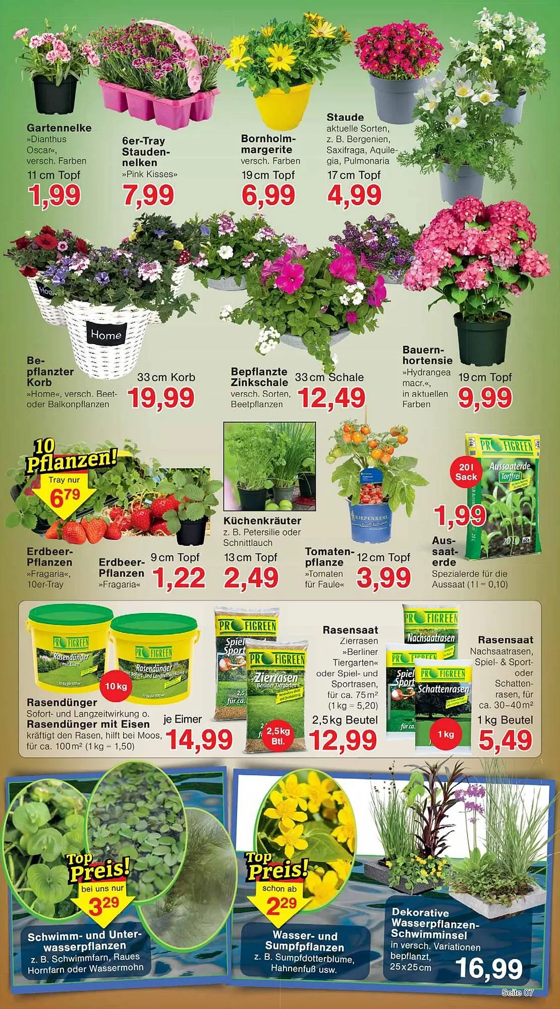 Wiglo Wunderland Prospekt von 20. April bis 25. April 2026 - Prospekt seite 11